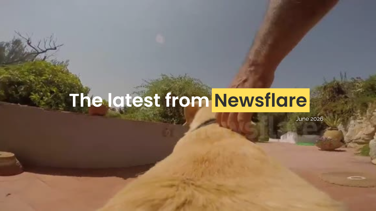 Filmer Newsletter: June 2026