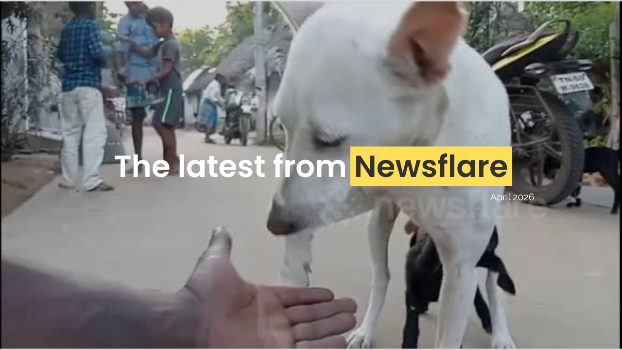 Filmer Newsletter: April 2026