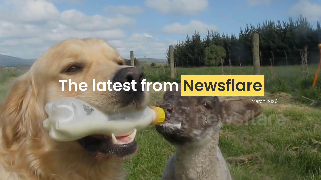 Filmer Newsletter: March 2026
