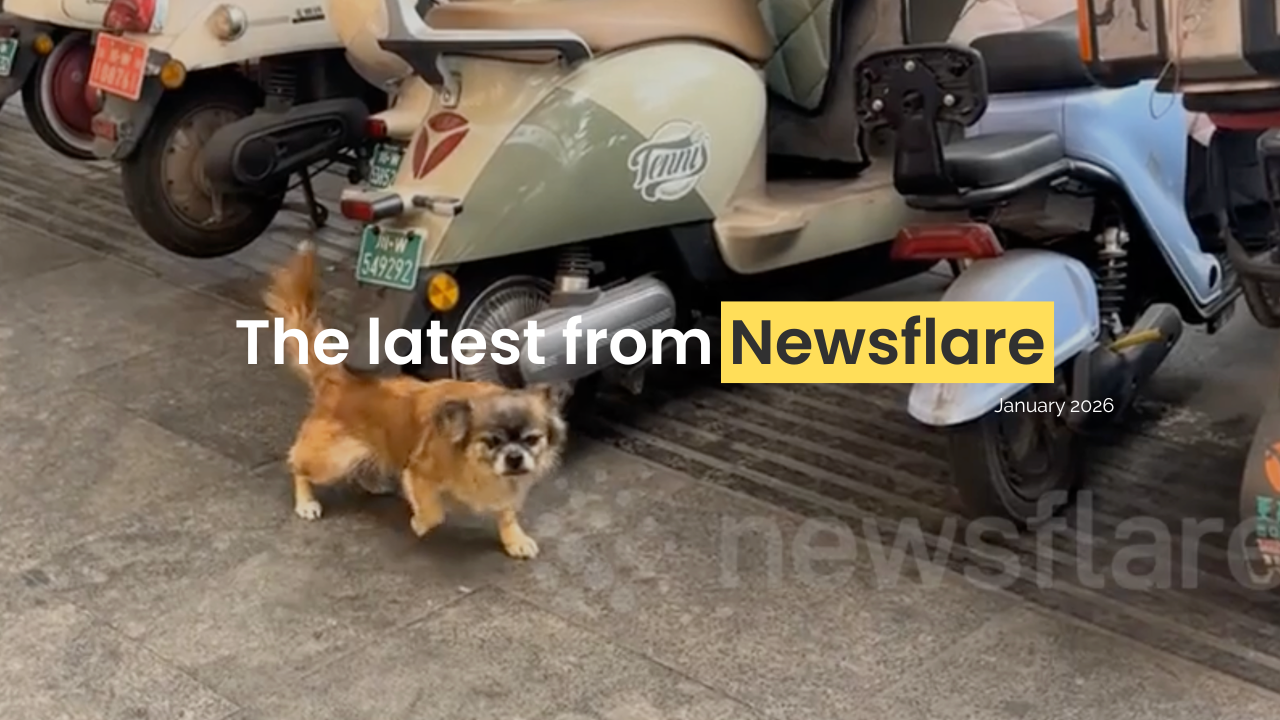 Filmer Newsletter: January 2026
