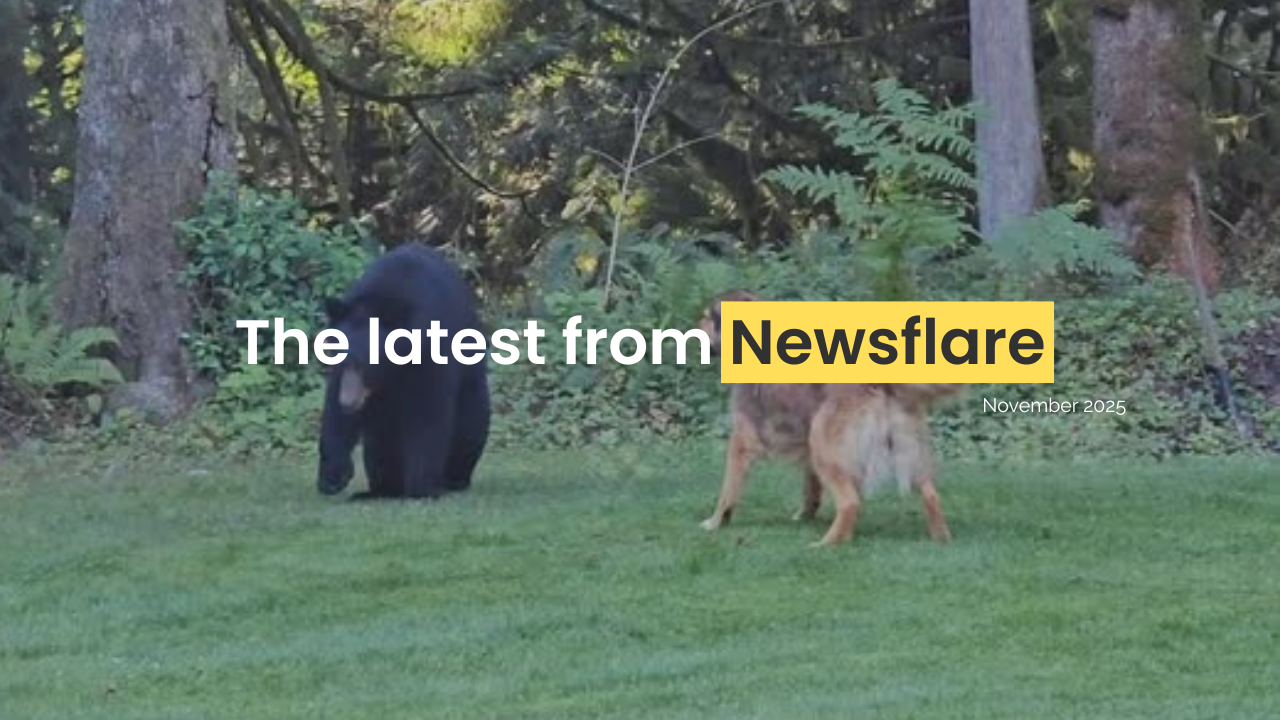 Filmer Newsletter: November 2025