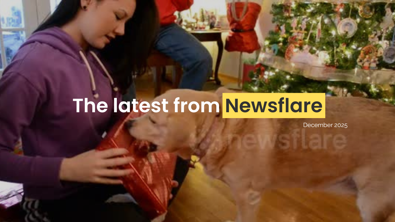Filmer Newsletter: December 2025