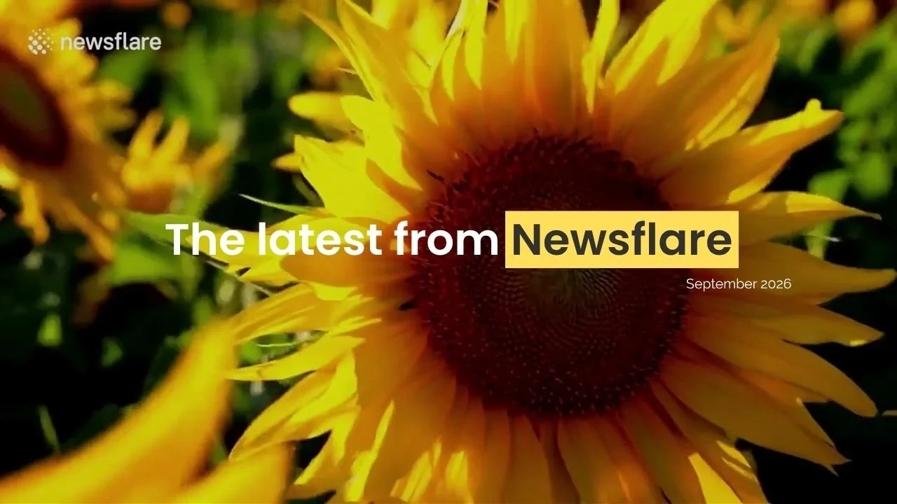 Filmer Newsletter: September 2026 
