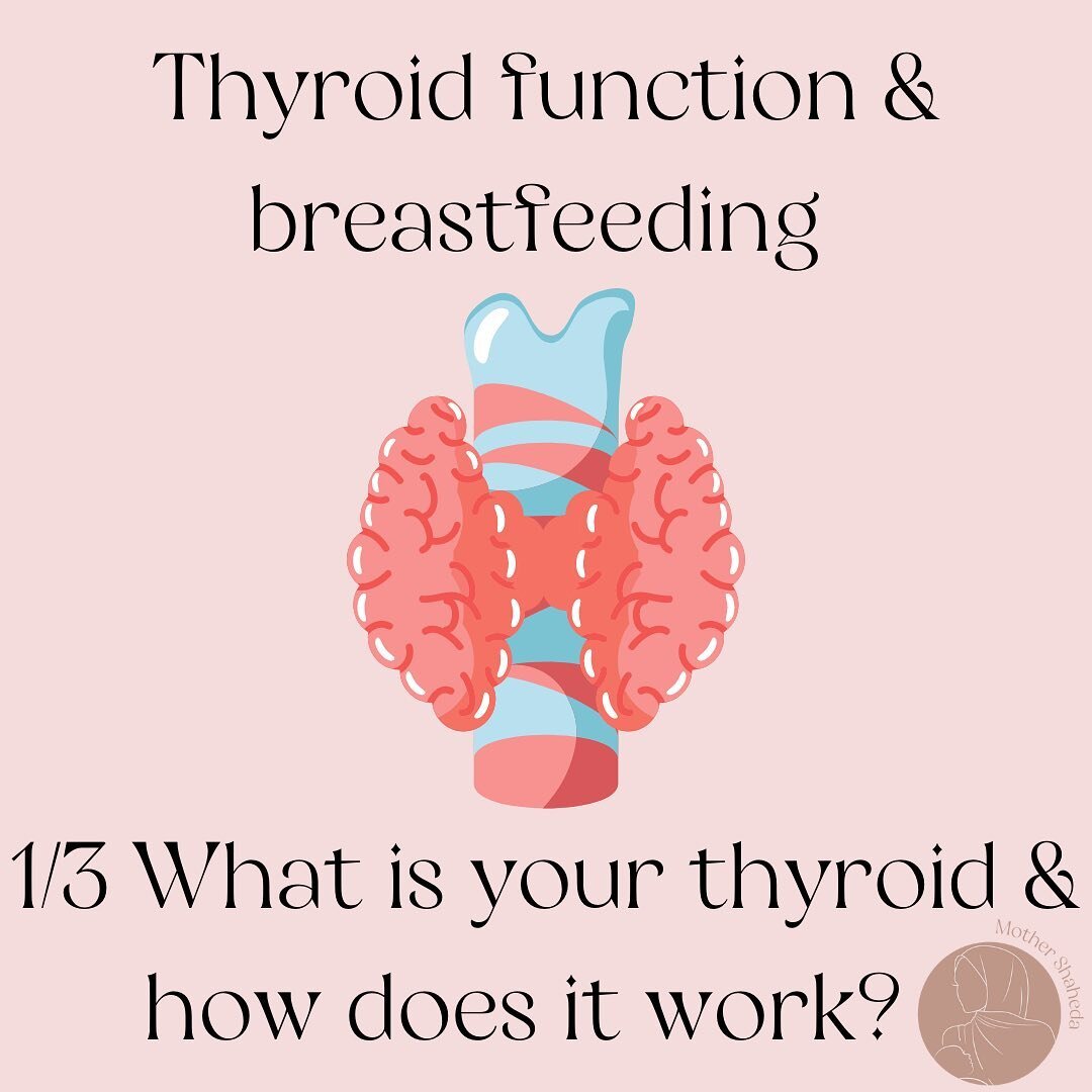 🌸1/3 Thyroid function &amp; breastfeeding- What is your thyroid and how does it work?🌸

***Please note I am not an expert in thyroidism; I have provided a basic Understanding of it from what I know as a midwife. Please speak to your GP or specialis