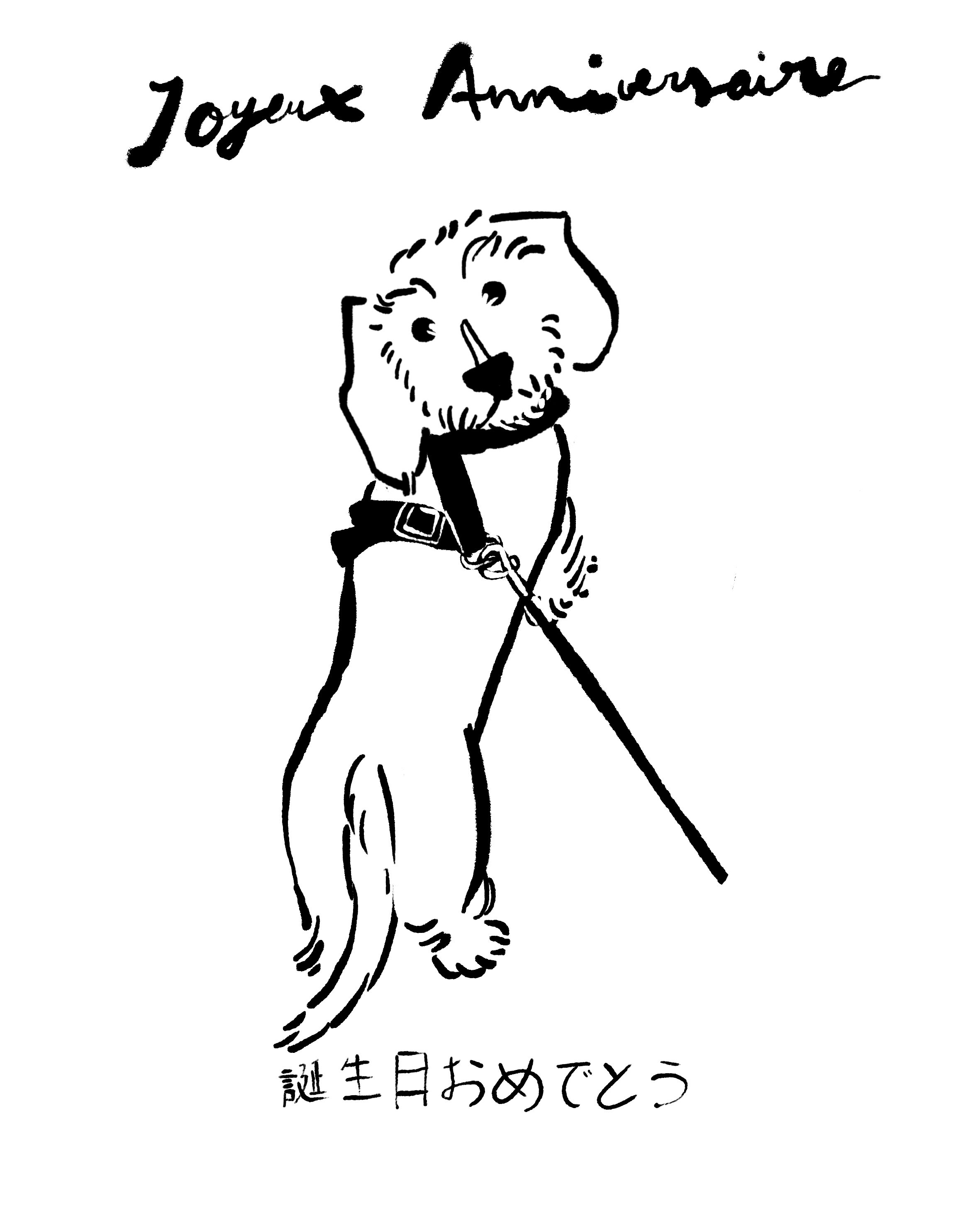 25 portfolio ID 69.JPG