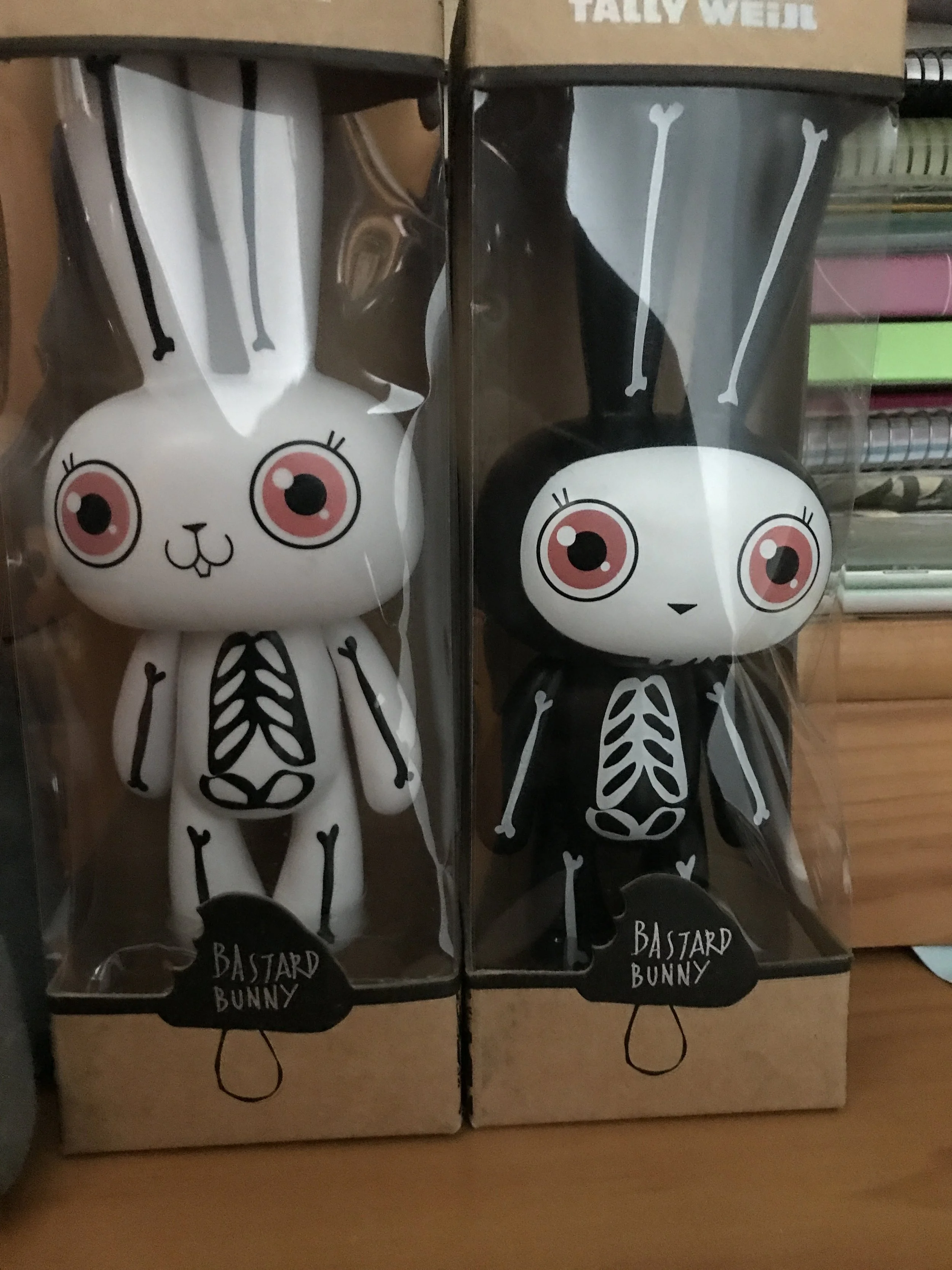 2023-02-19 17.42.06.jpg