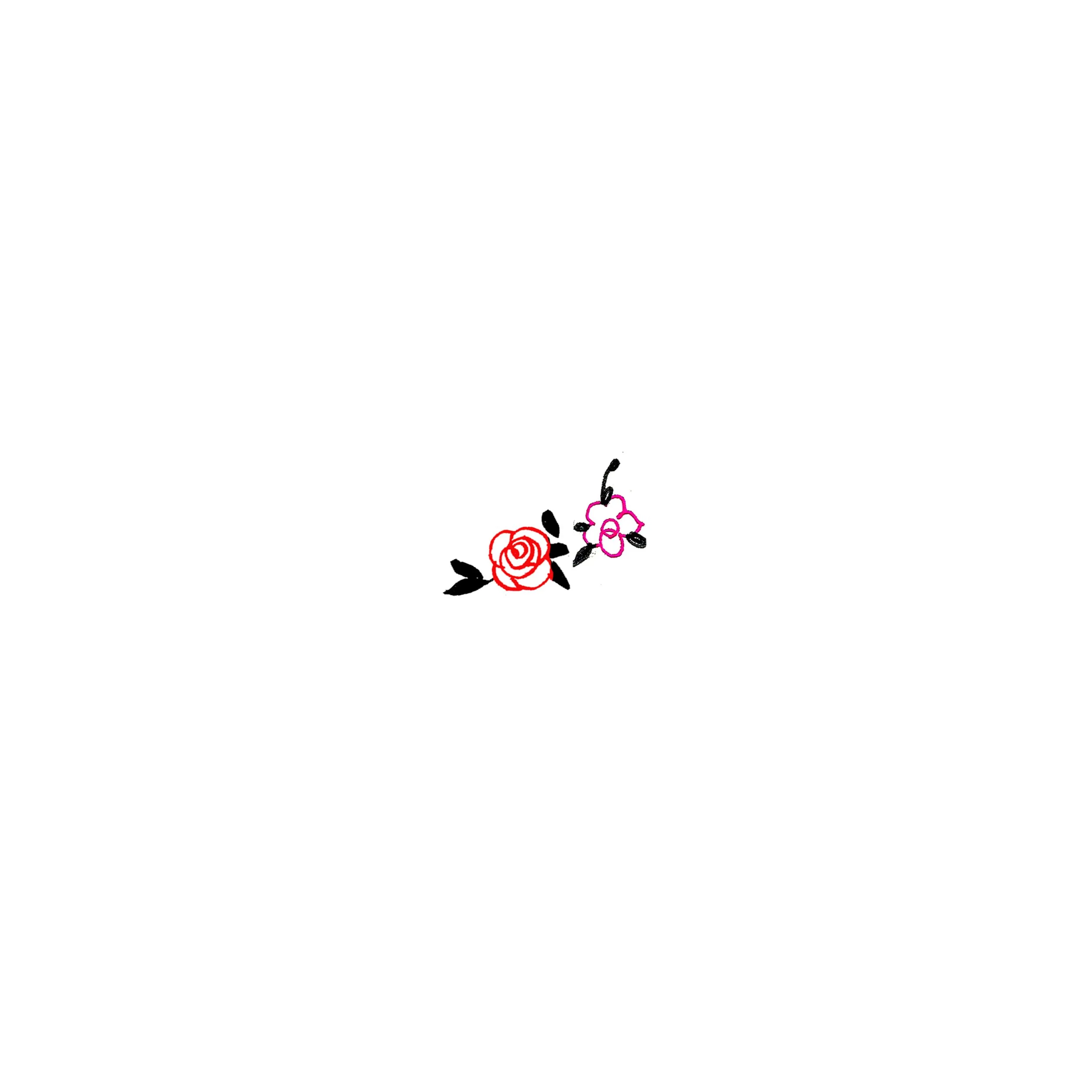 ROSE 21  copia.jpg