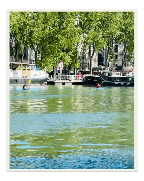 06DA0991-D6E8-4C42-868C-C6810F1E7EF5.GIF