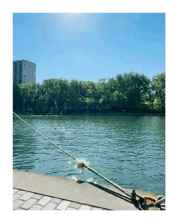 9EEE05B5-4D4D-48FE-AF64-838BD04823A8.GIF