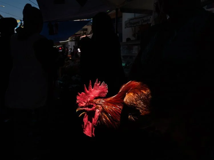 L1000380.jpg