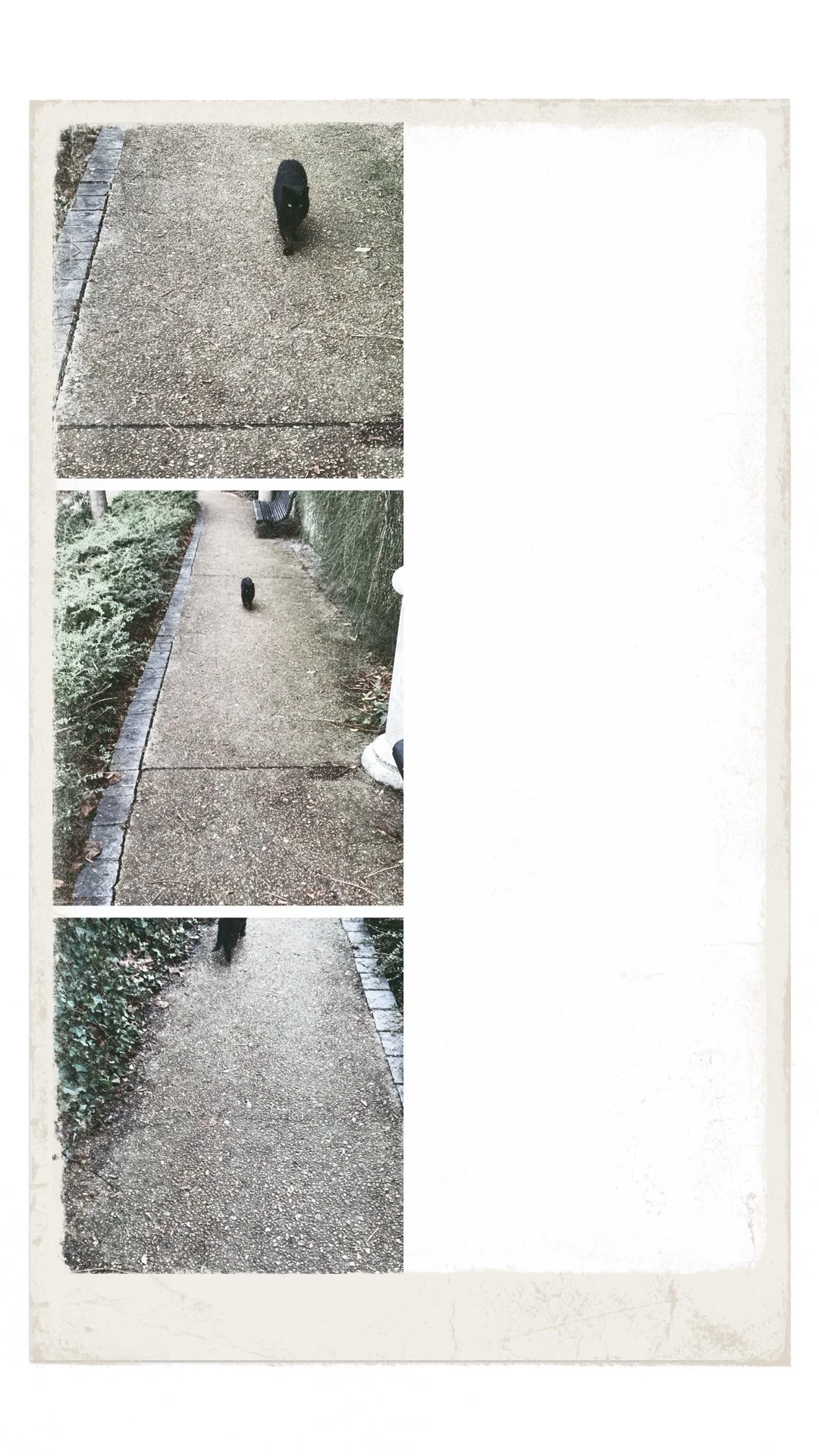 page0 12.JPG