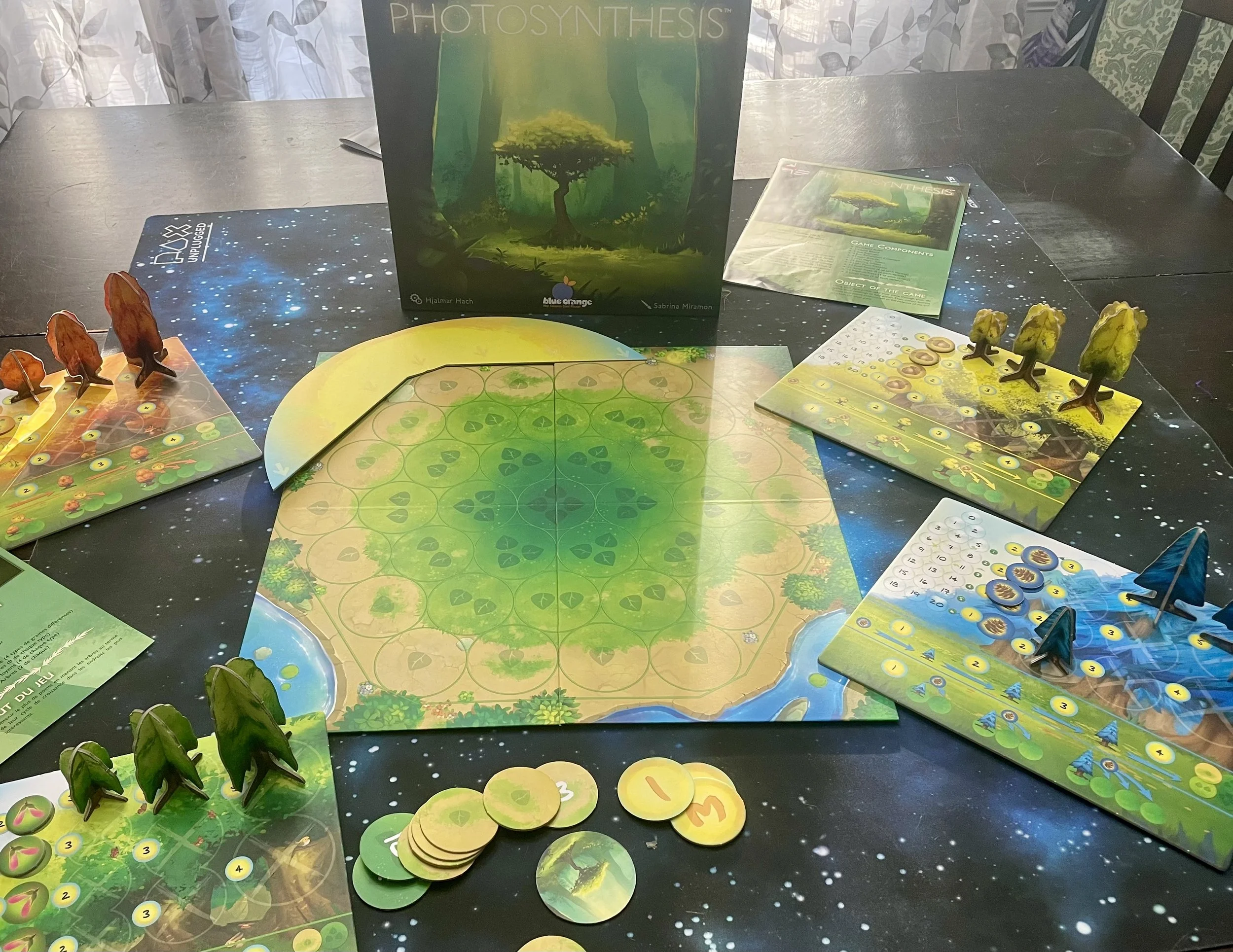 Image Credit Connell 2026