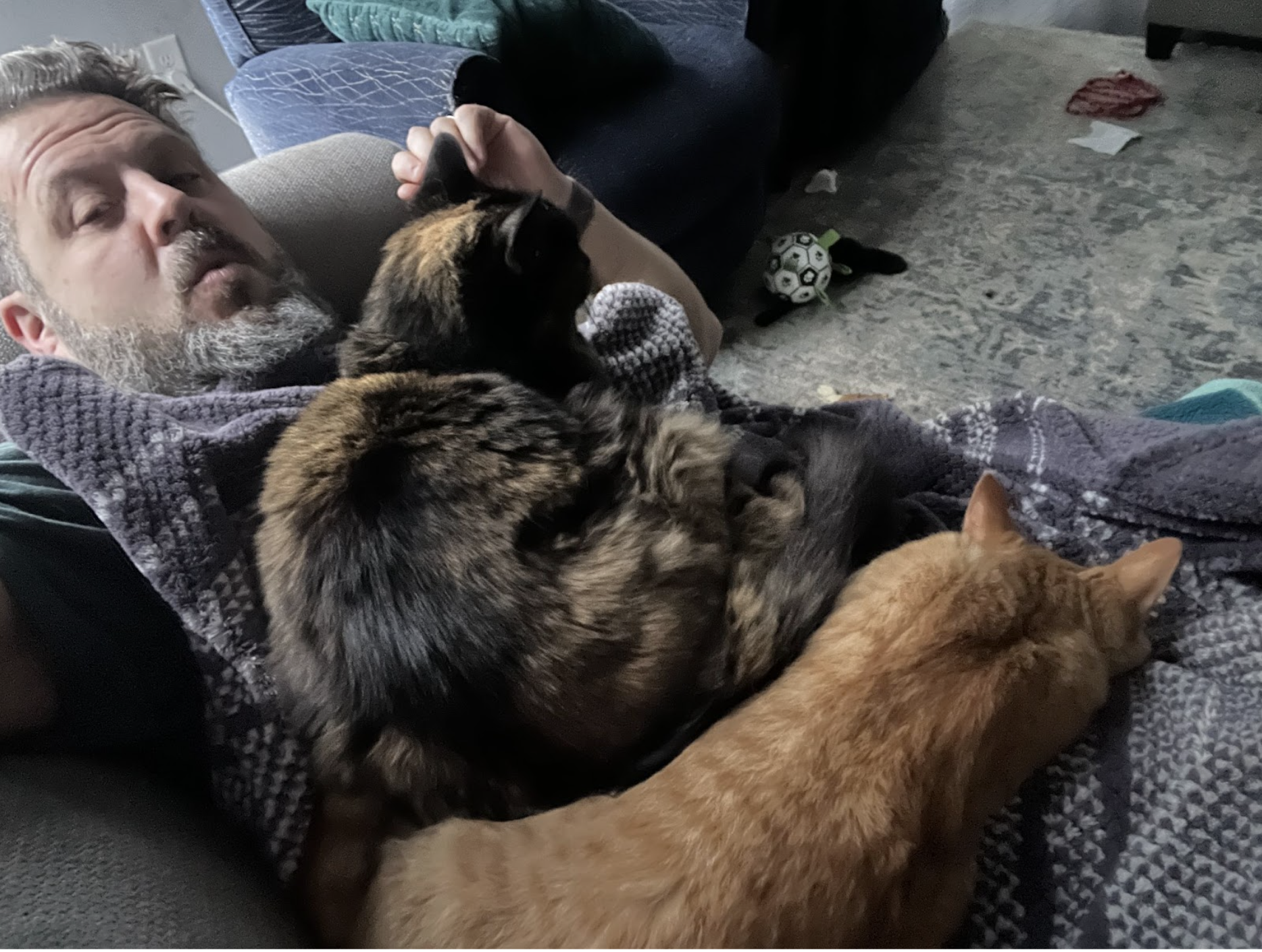 The Opposite of a Pet Peeve: Quality Time With My Pets