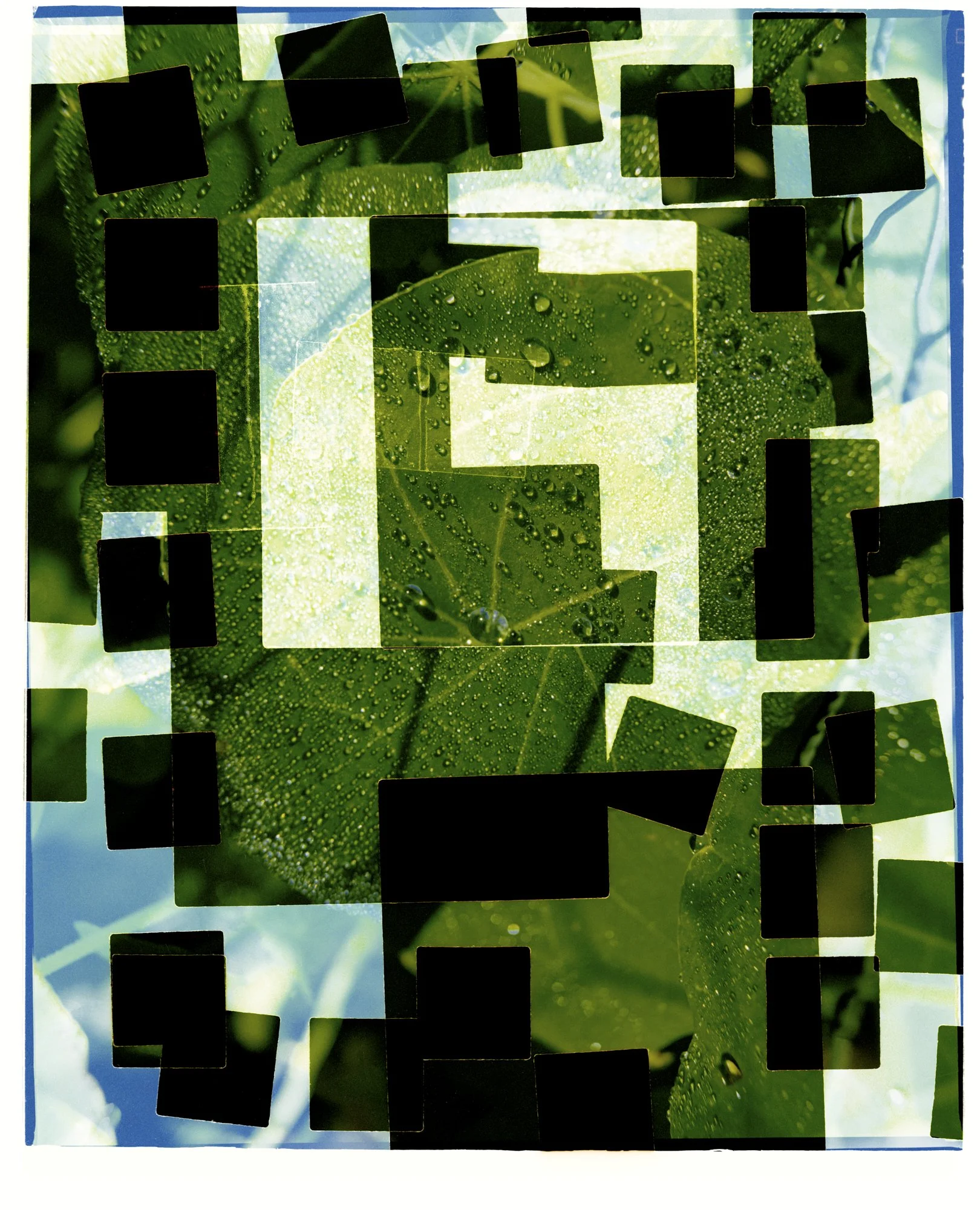 09. Luke & Nik - Square Leaf, 2022.jpg