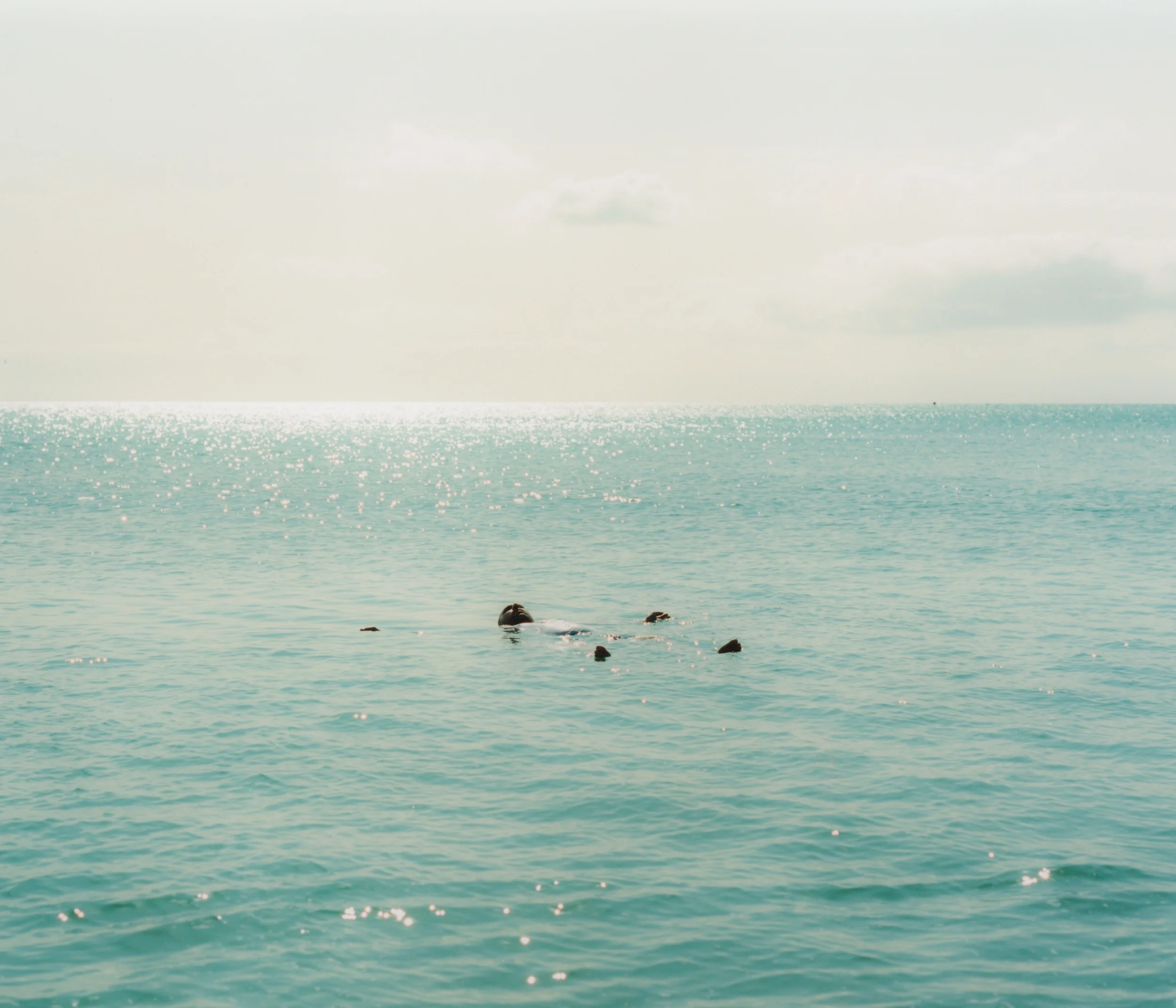 Rojyar_Drifting_off_Weymouth_Beach copy.webp