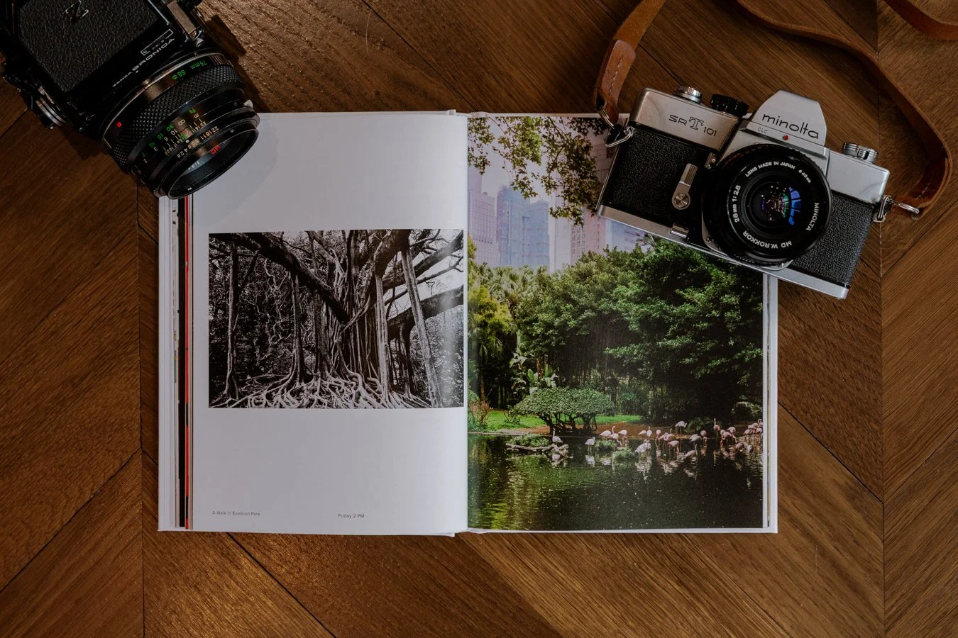 Dark Room Socials11.jpg