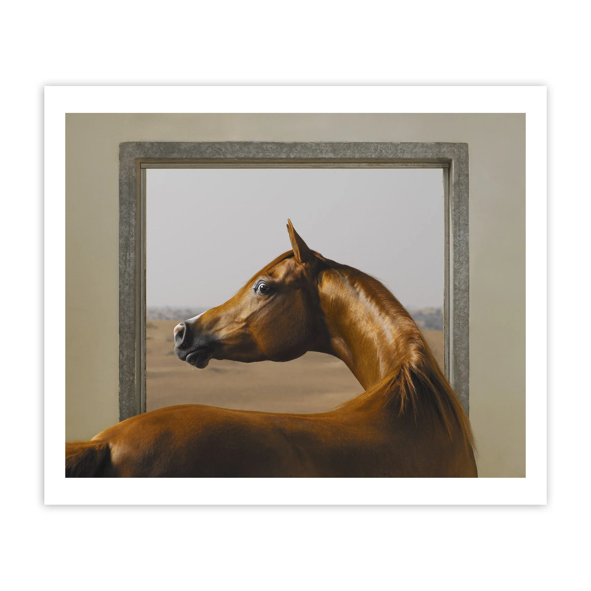 Windows-Chestnut_35cmH_300dpi_Print copy.jpg
