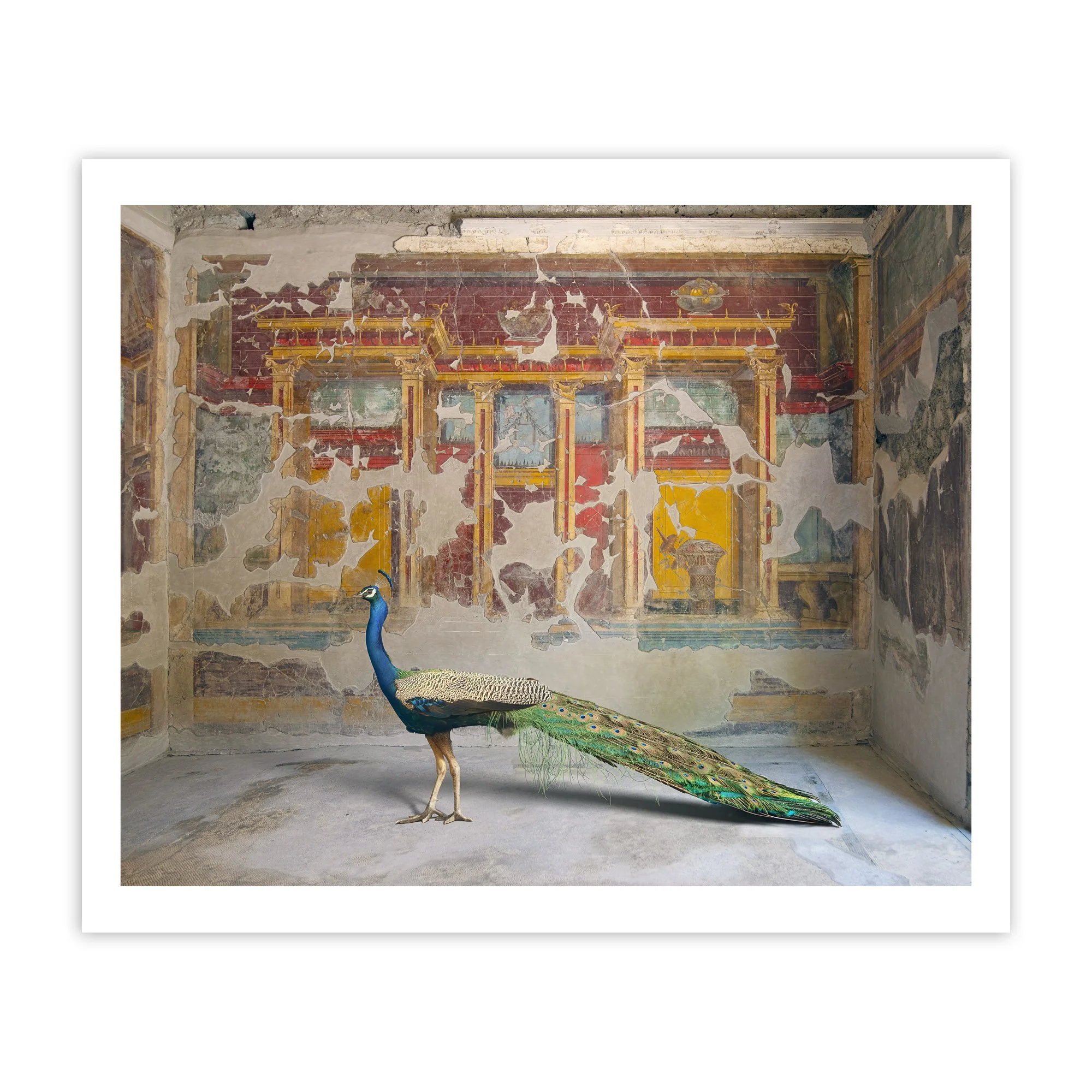 Hera's_Eyes_-_Karen_Knorr_Print copy.jpg
