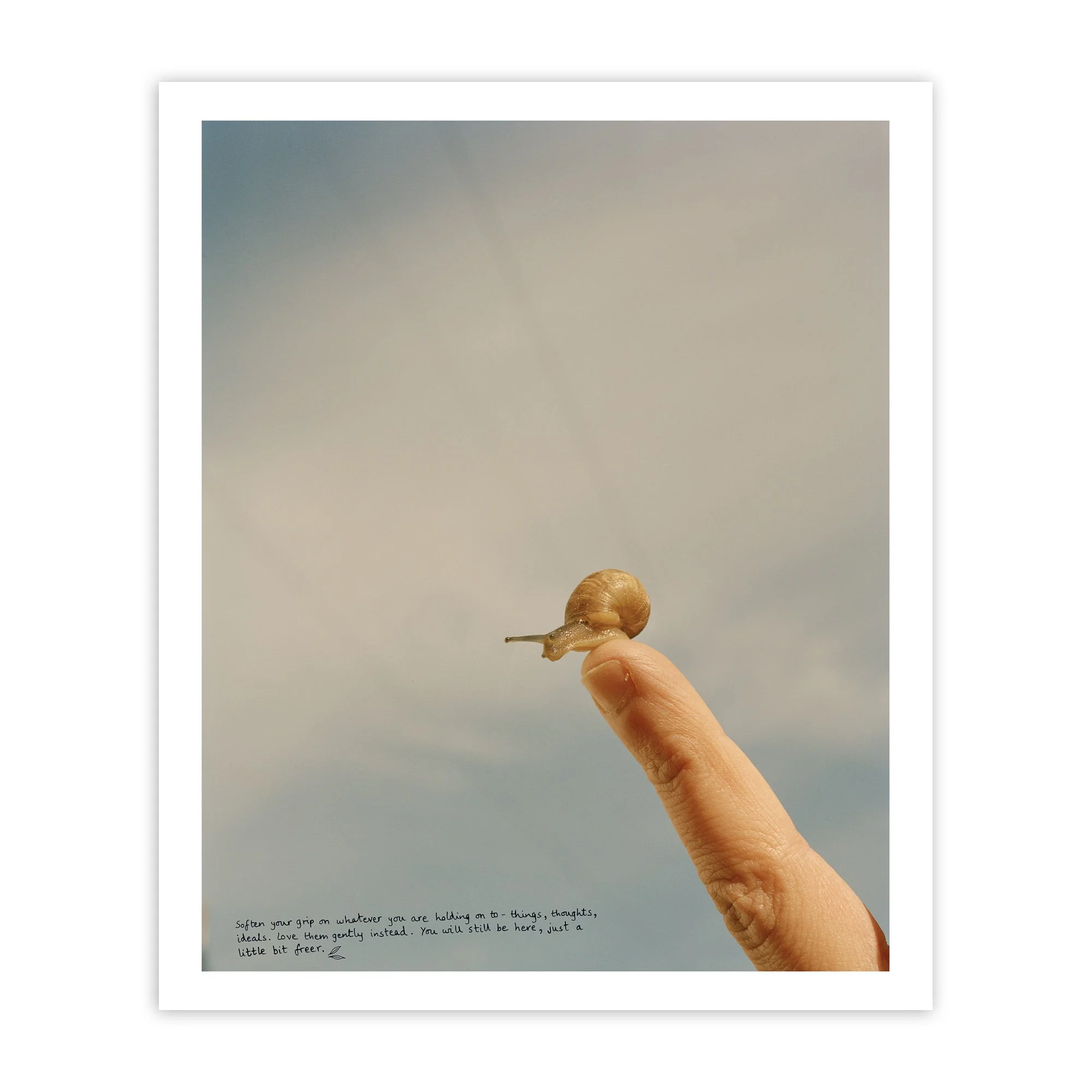 All_creatures_great_and_small_-_Vikram_Kushwah_Print copy.jpg
