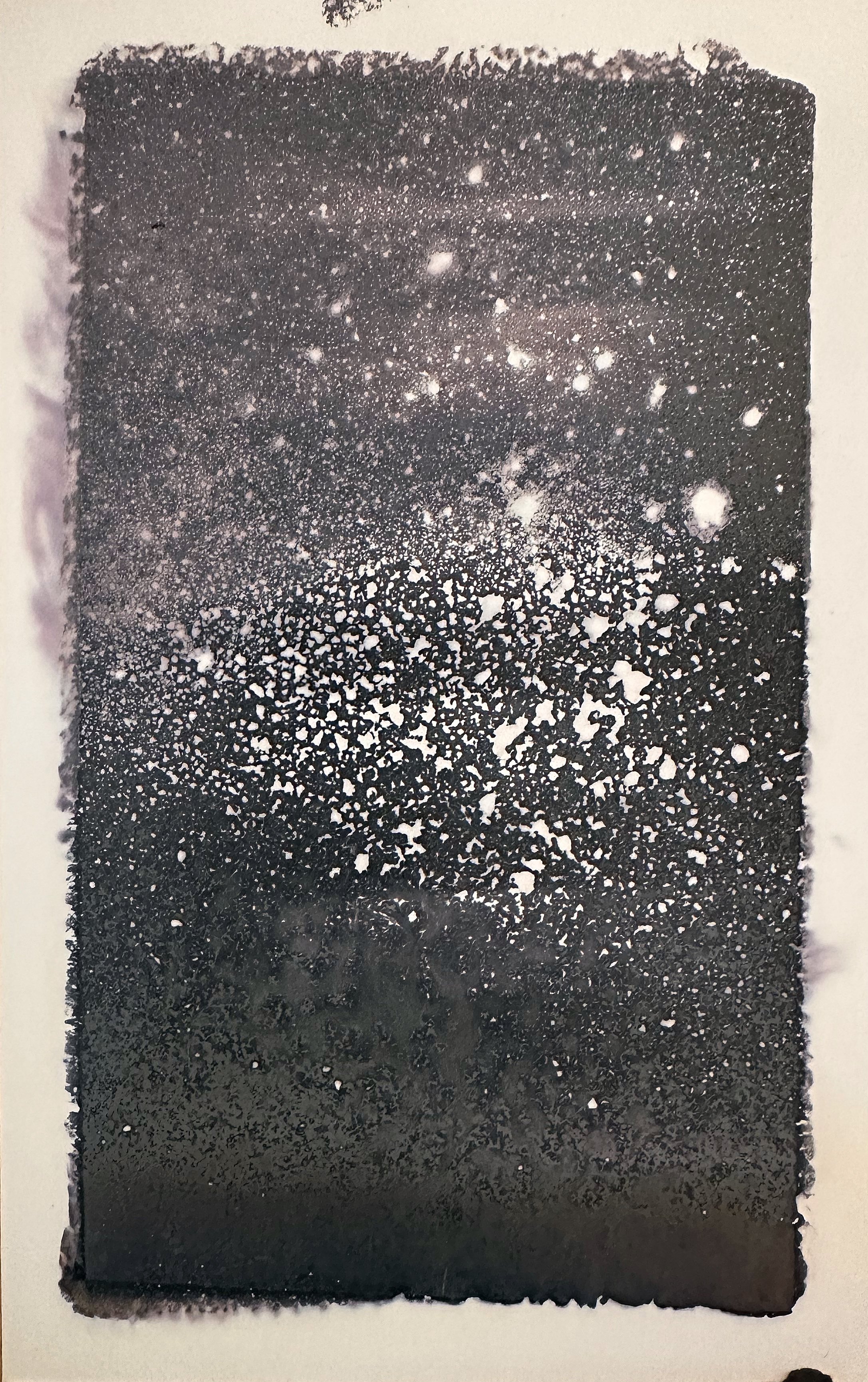 AScholz_Chemigram_06.jpg