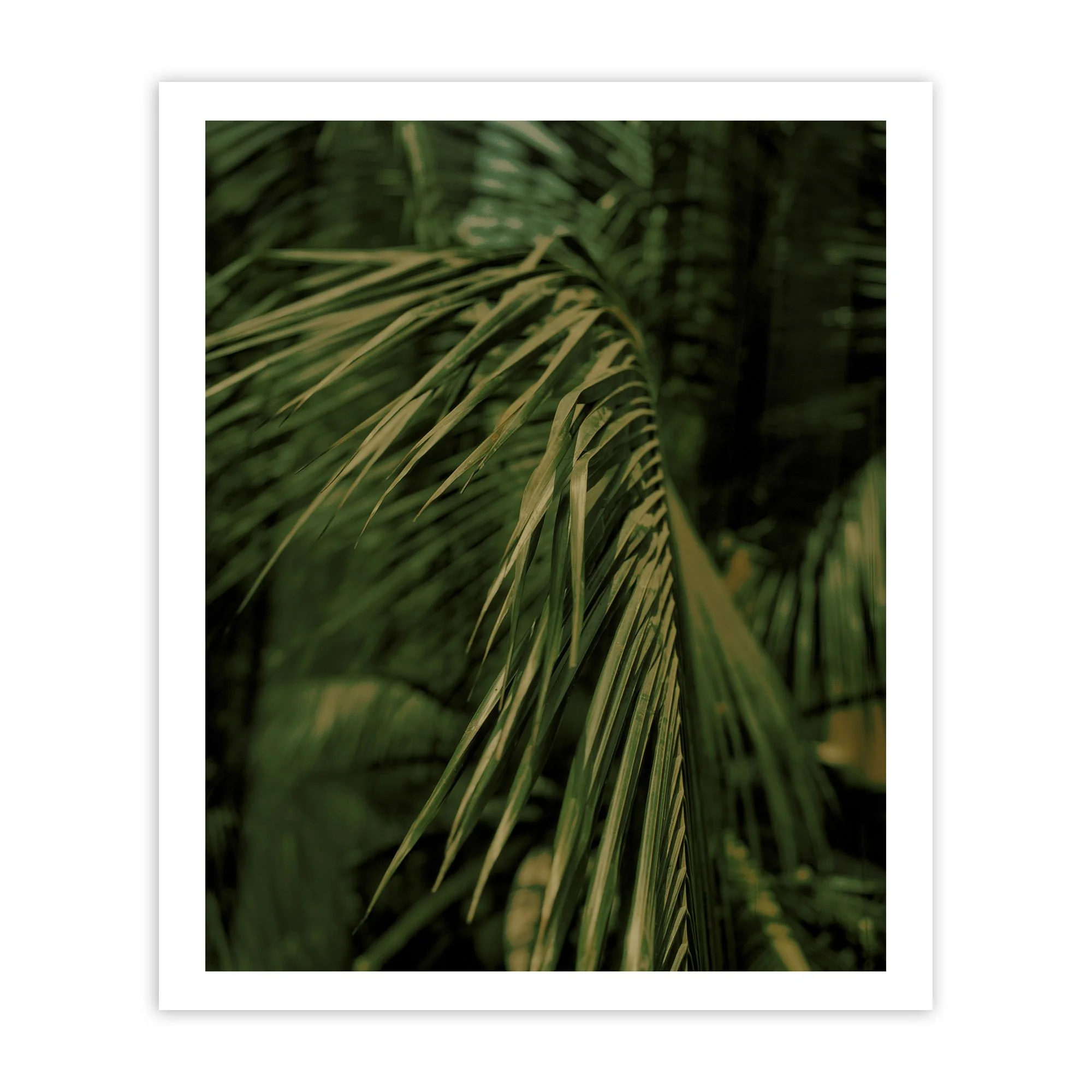 Untitled_-_Kalpesh_Print copy.jpg