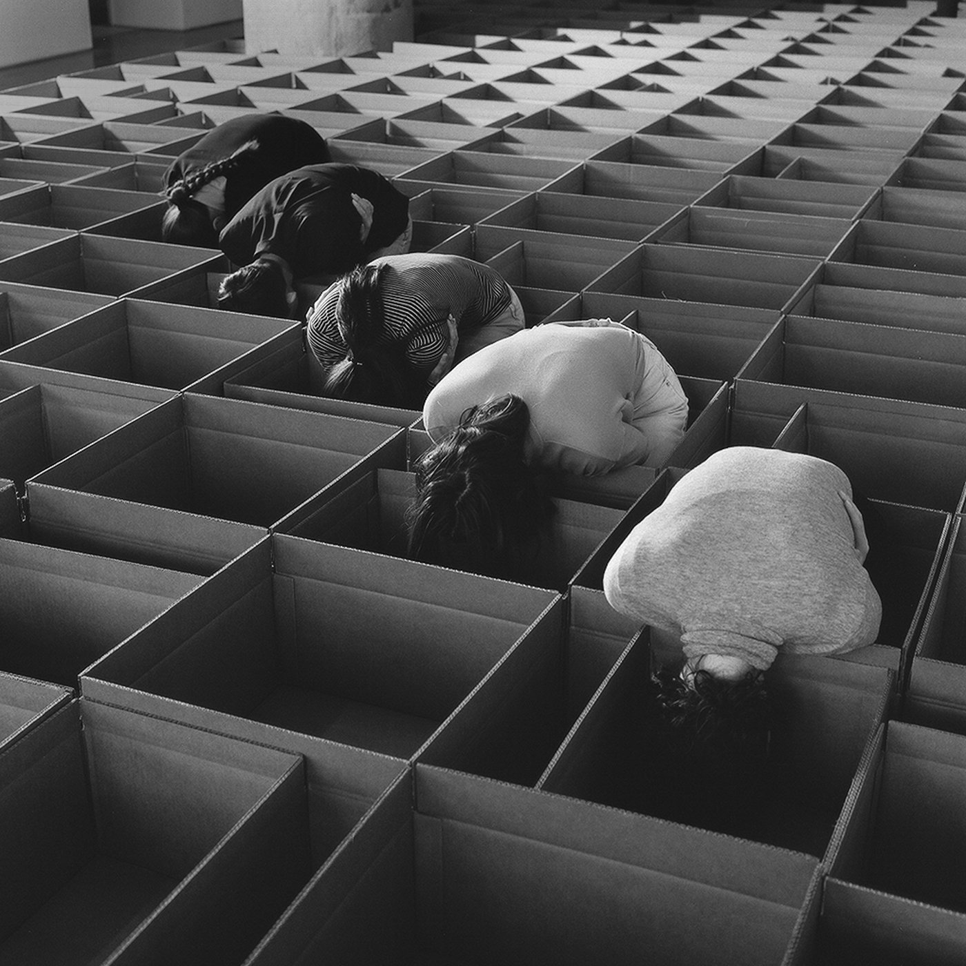  Photo: Colin Medley. 