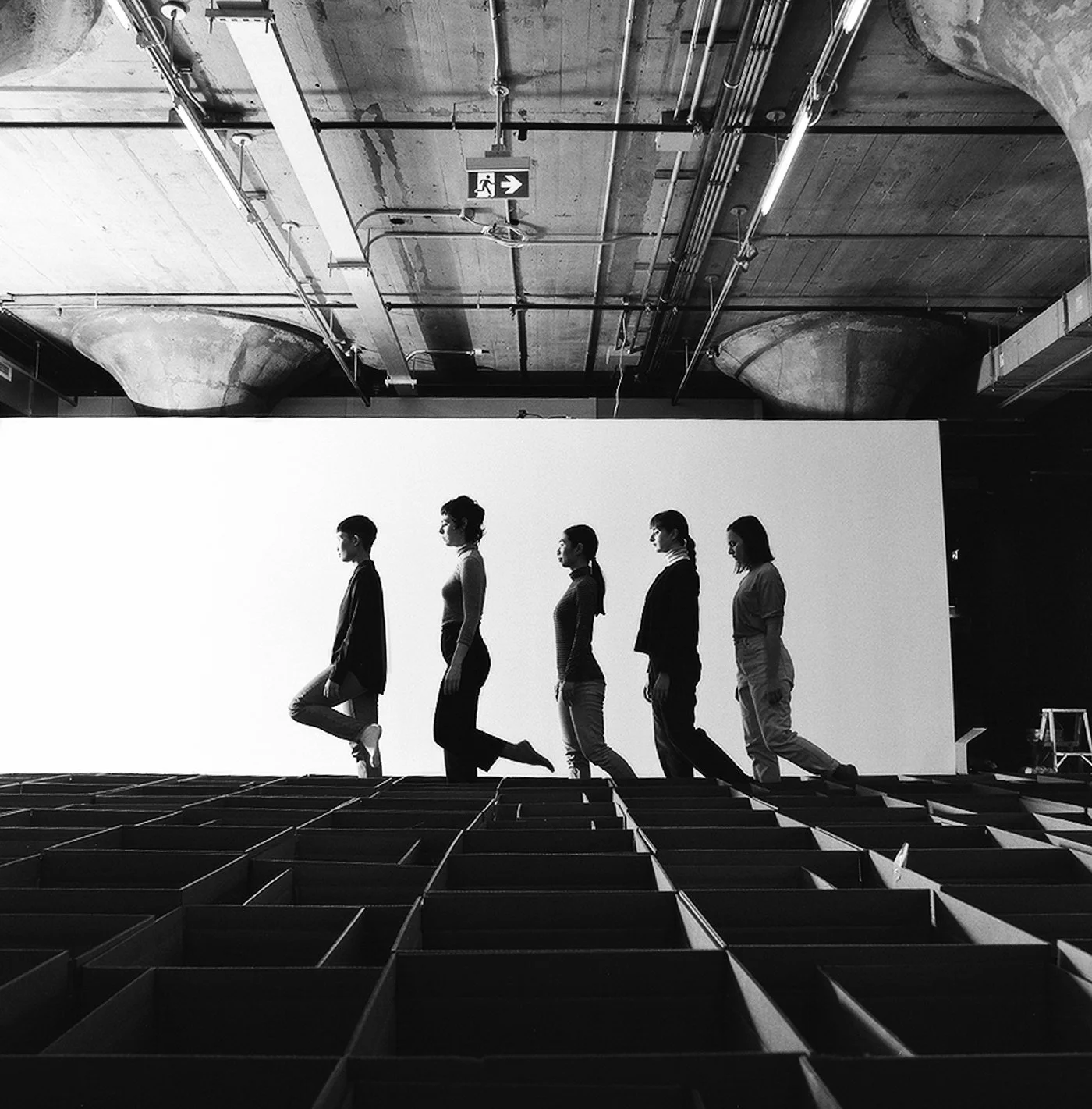  Photo: Colin Medley. 