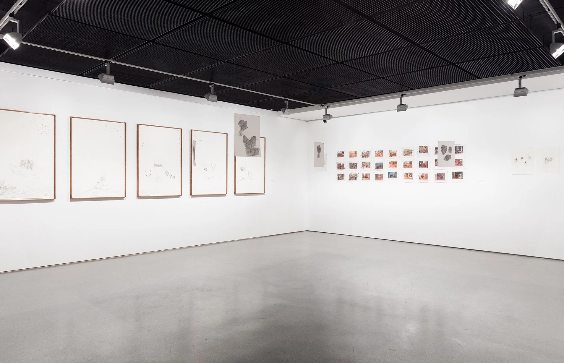 where i am free view 3.jpg