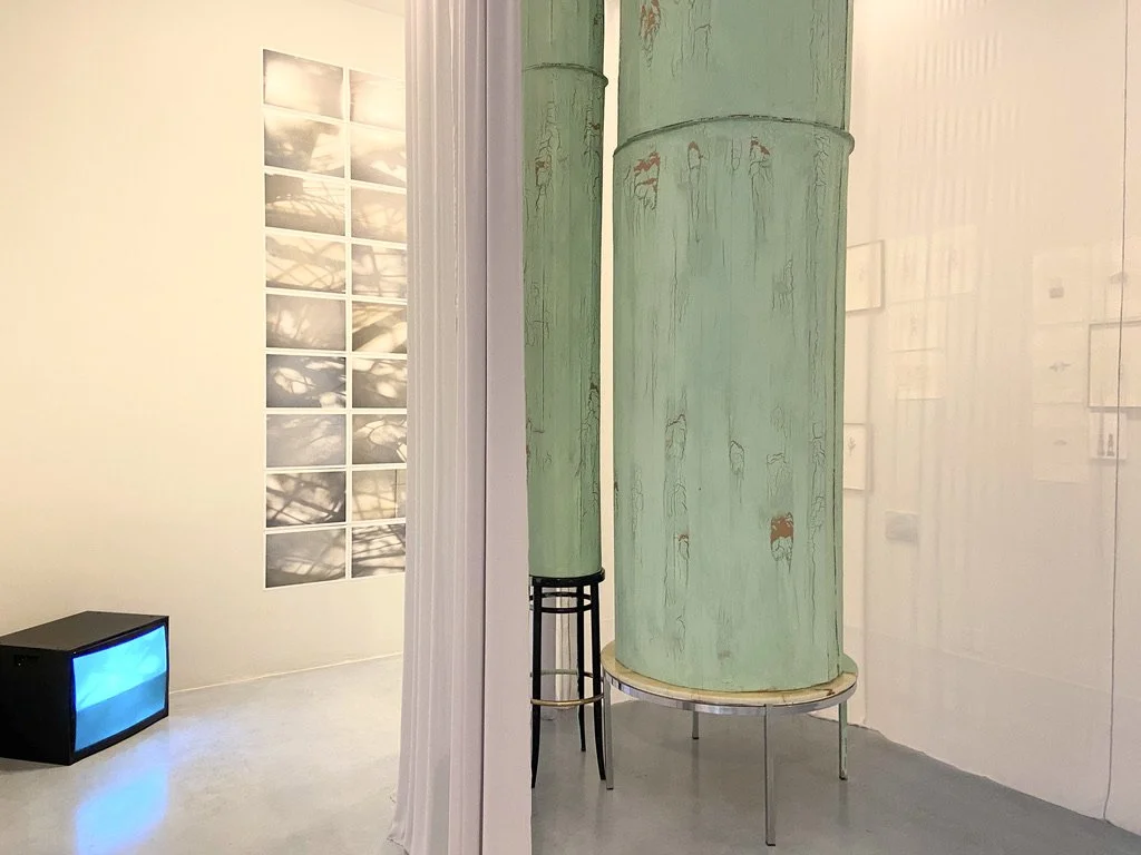  View of the exhibition. © Carlos Bunga. 