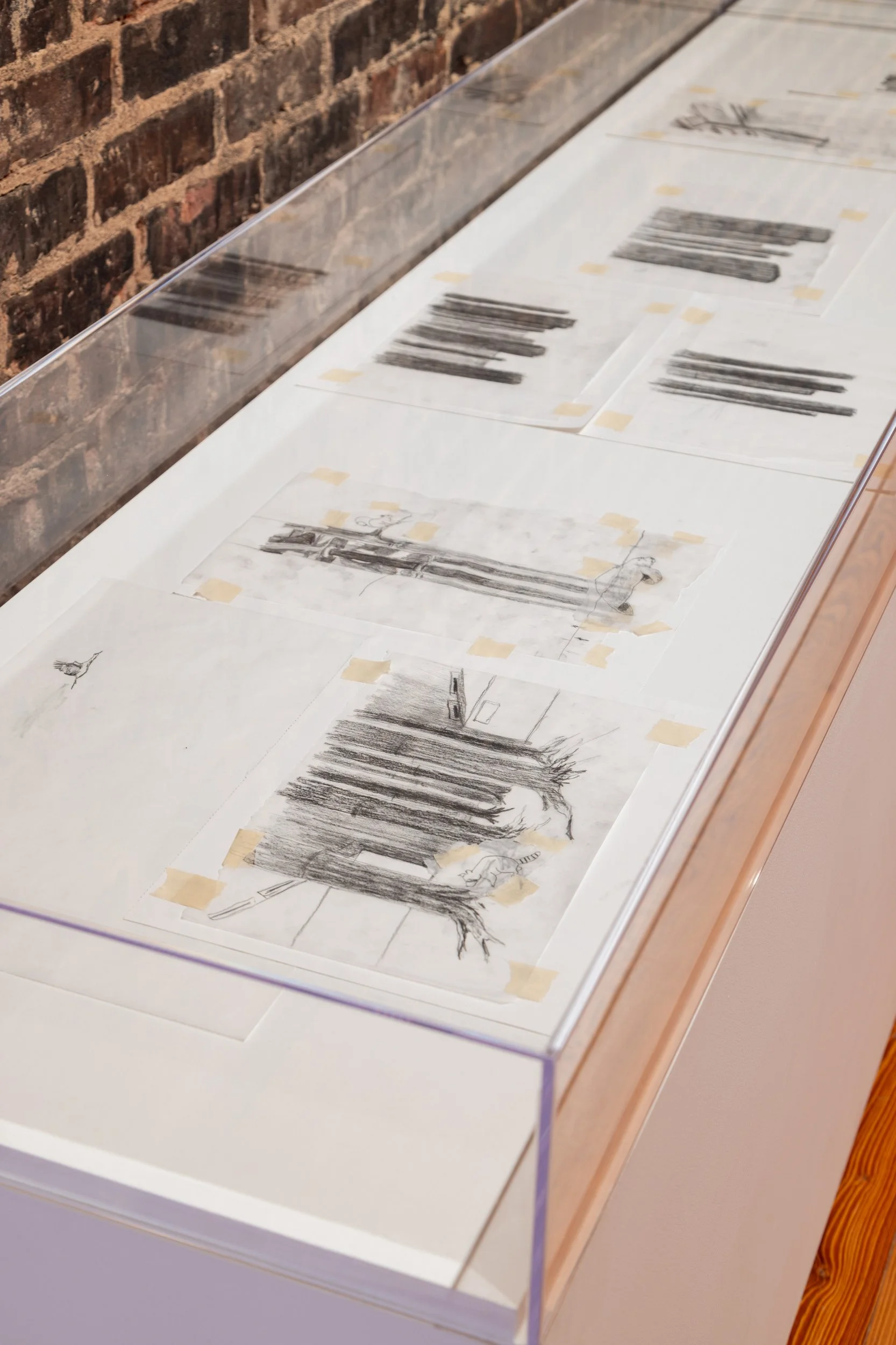 21. 054_Bunga_SAM.JPG