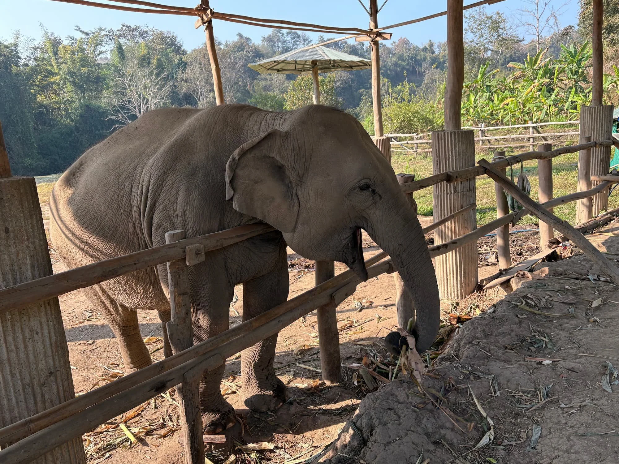 Chiang Mai vs Phuket: Which Thai dream destination should you choose?