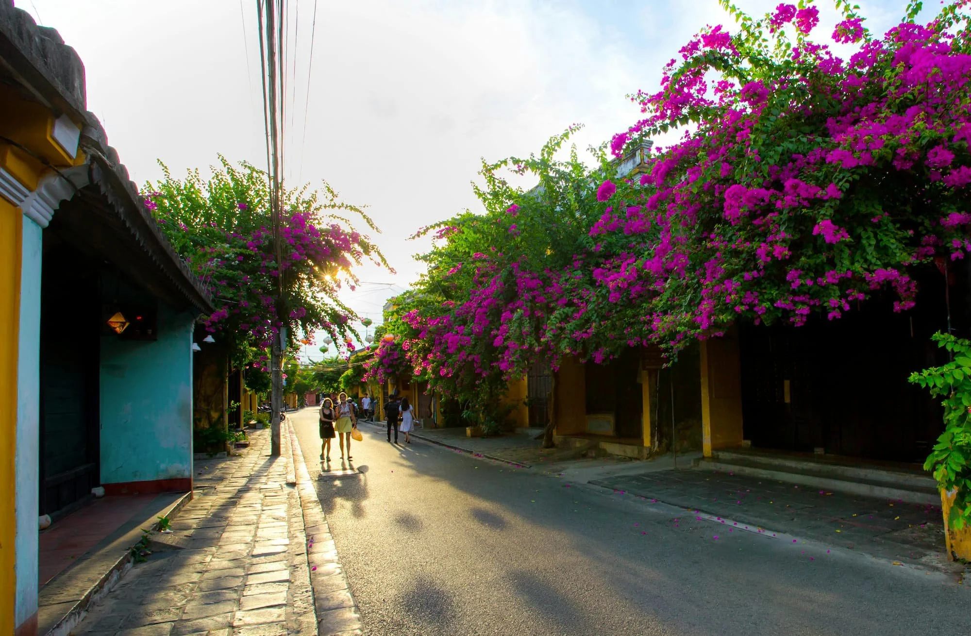 A street in Hoi an with buildings covered in colourful flowers