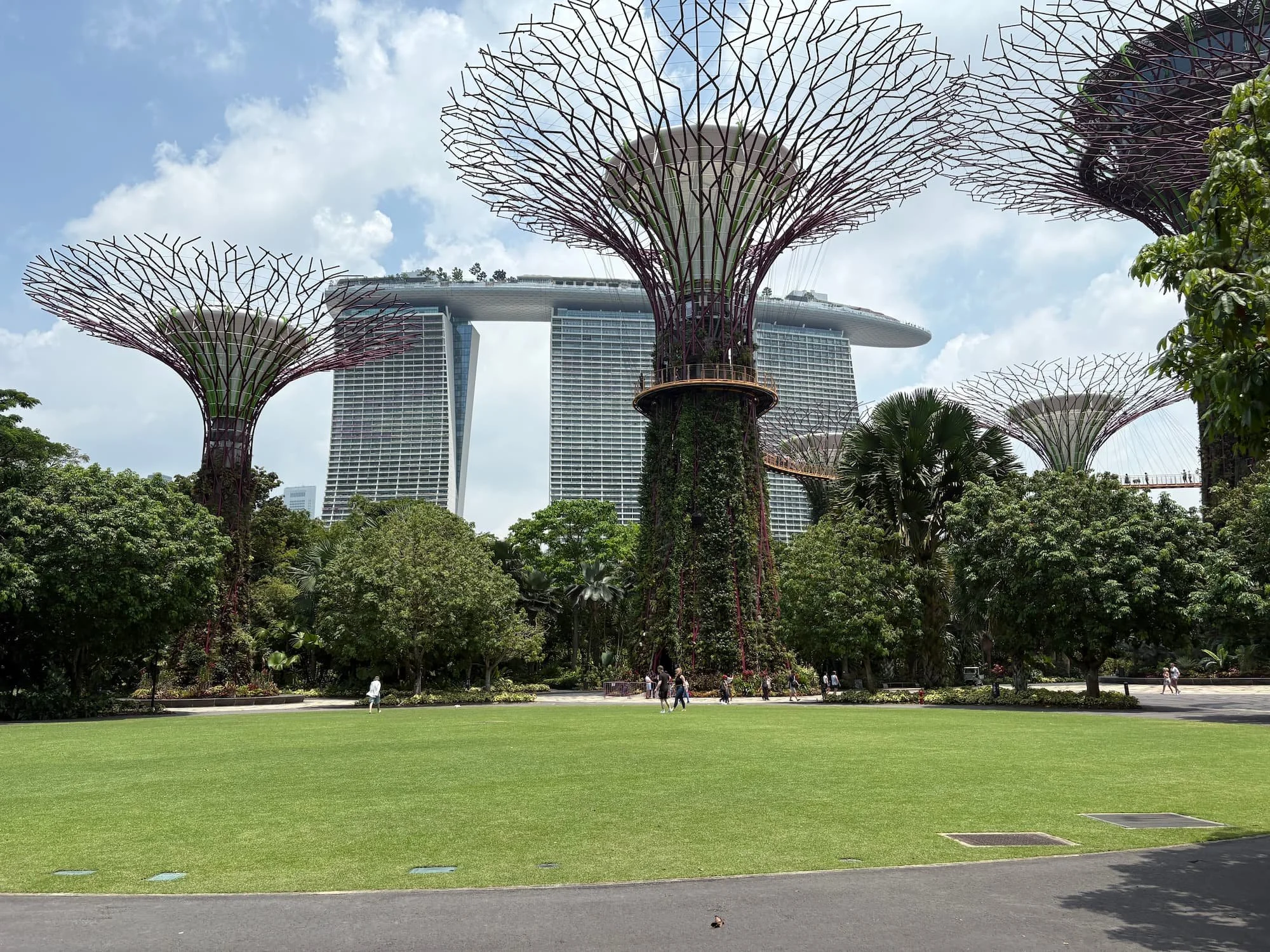 Walking around Supertree Grove with Marina Bay Sands backdrop in Singapore