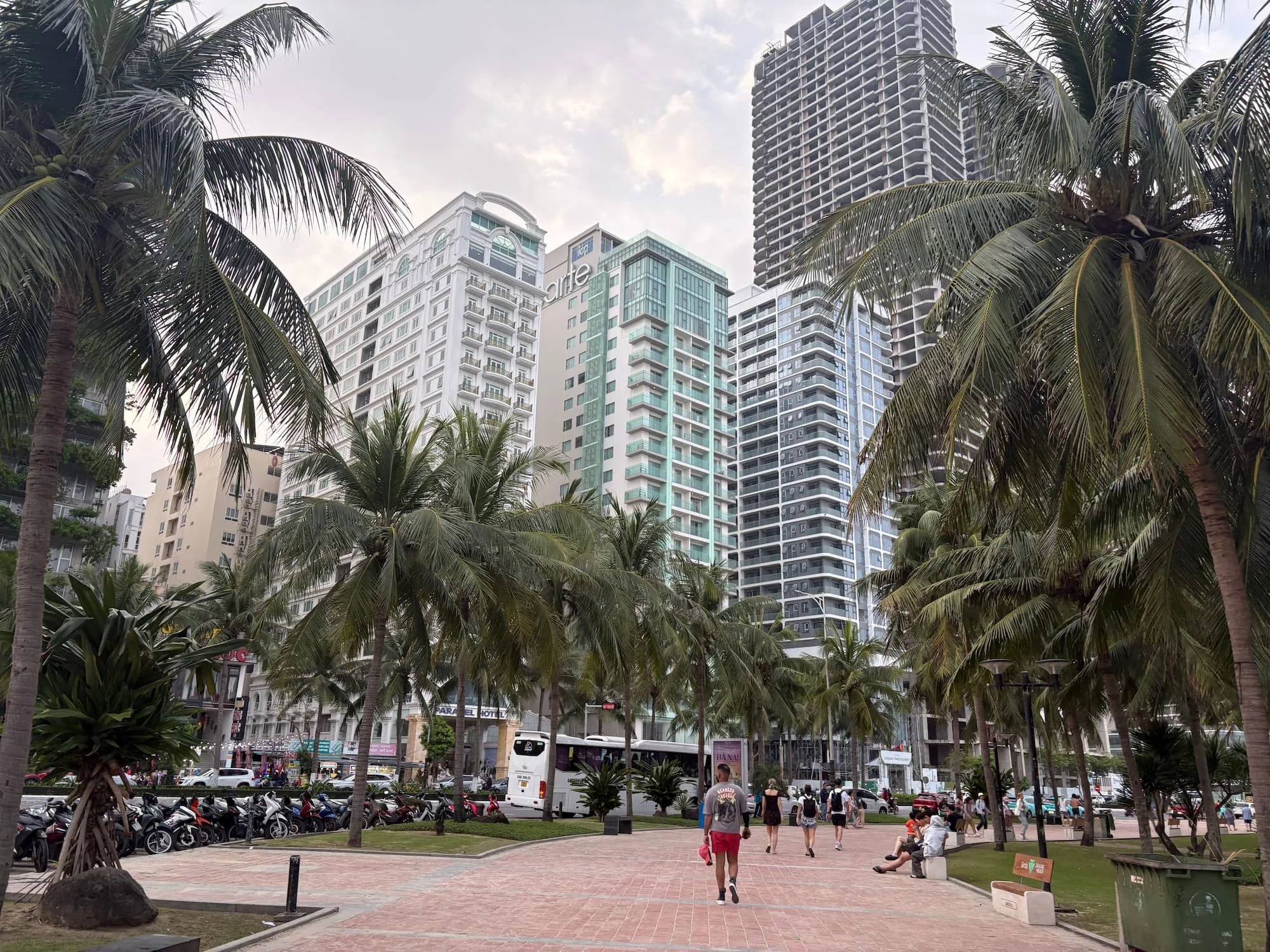 Palm trees and skysrapers in Da Nang in Vietnam
