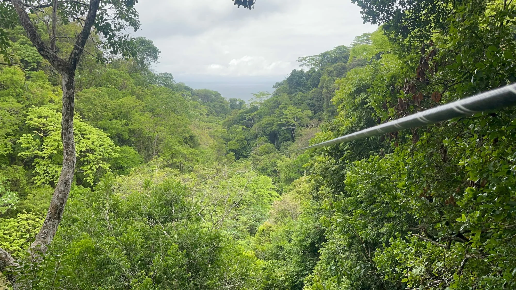 Ziplining through canopy in Costa Rica