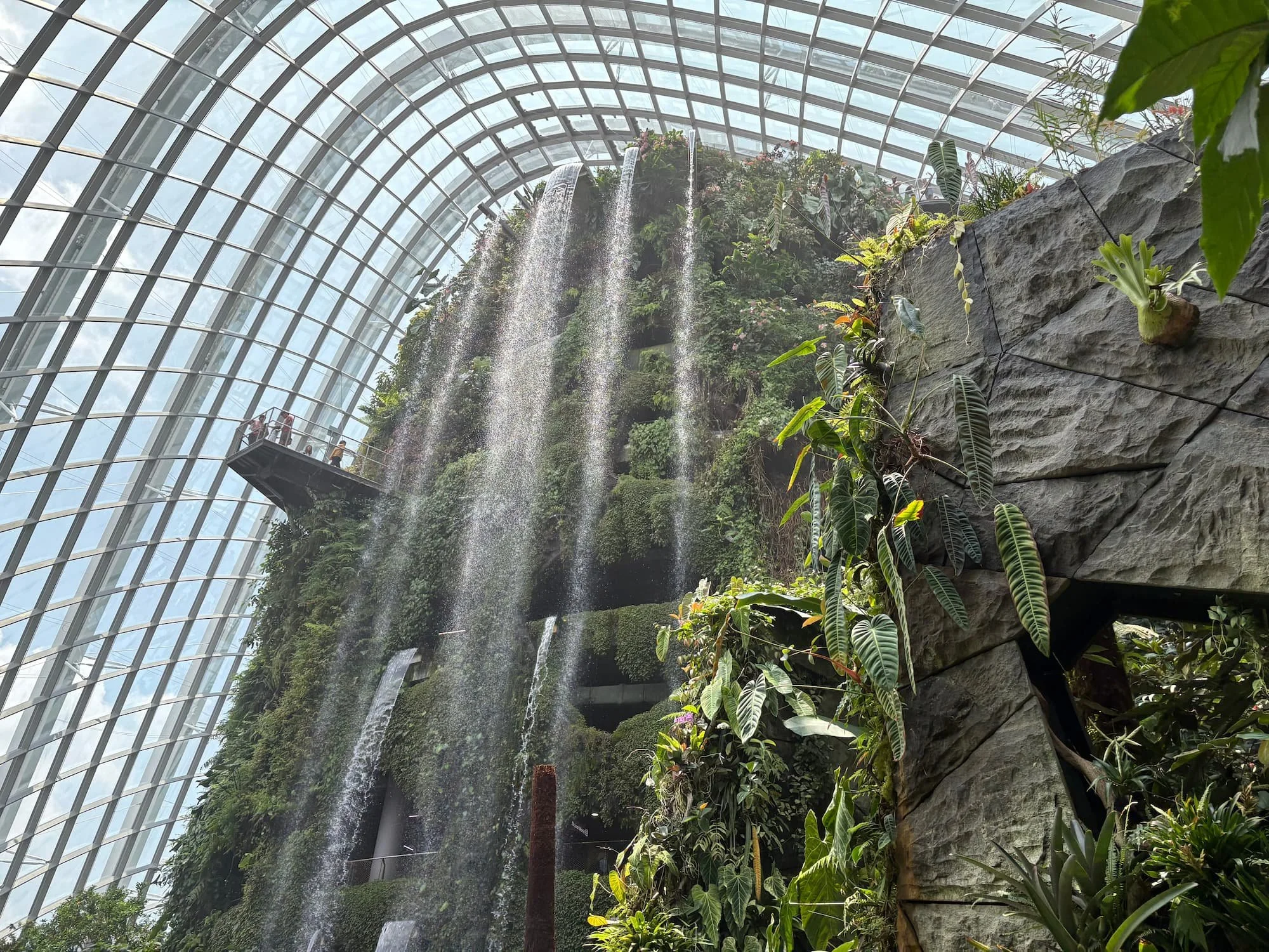 Cloud Forest waterfall inside Gardens by the Bay Singapore with indoor glass dome ceiling