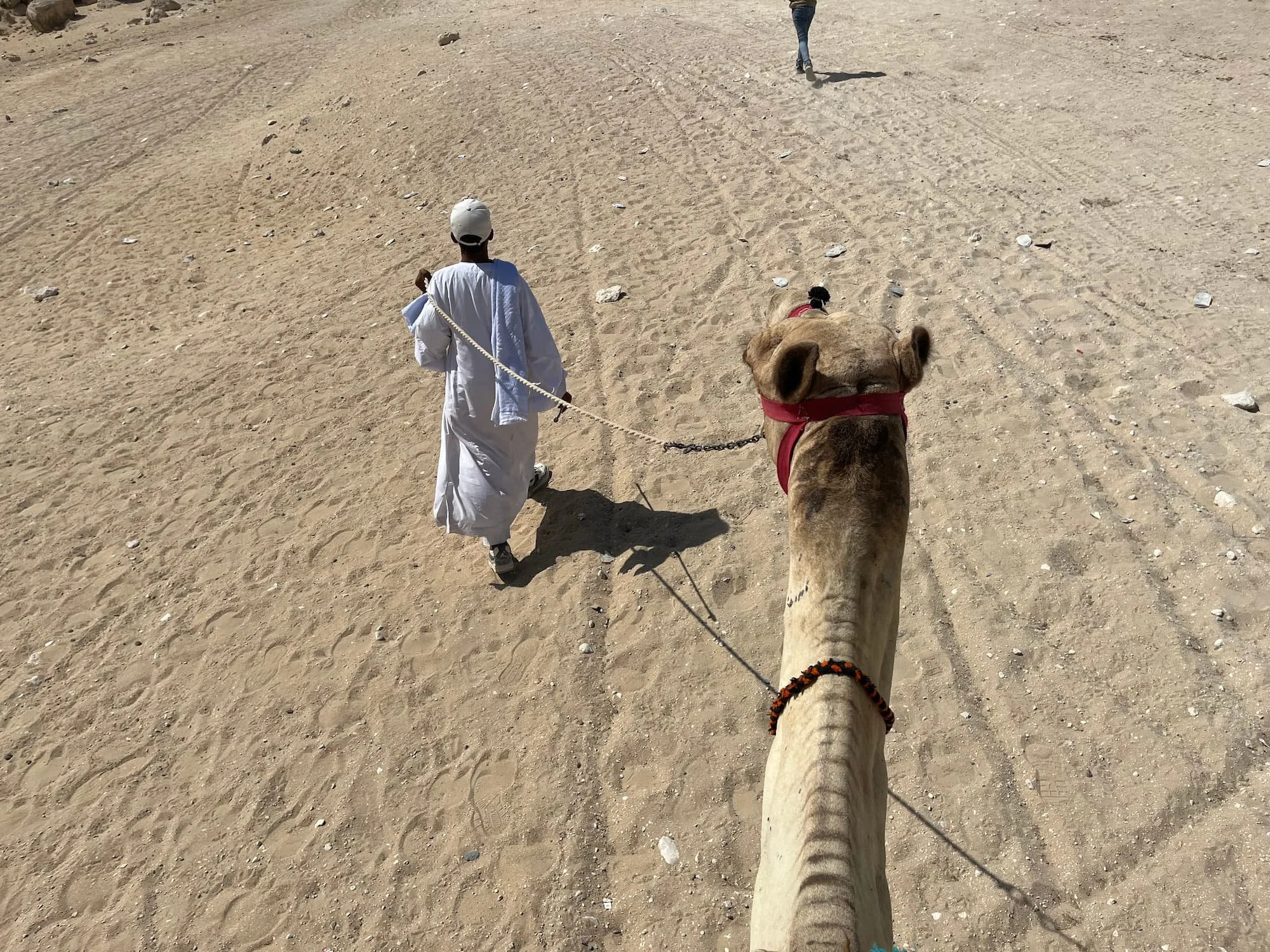 Riding a camel at the Pyramids of Giza in Egypt
