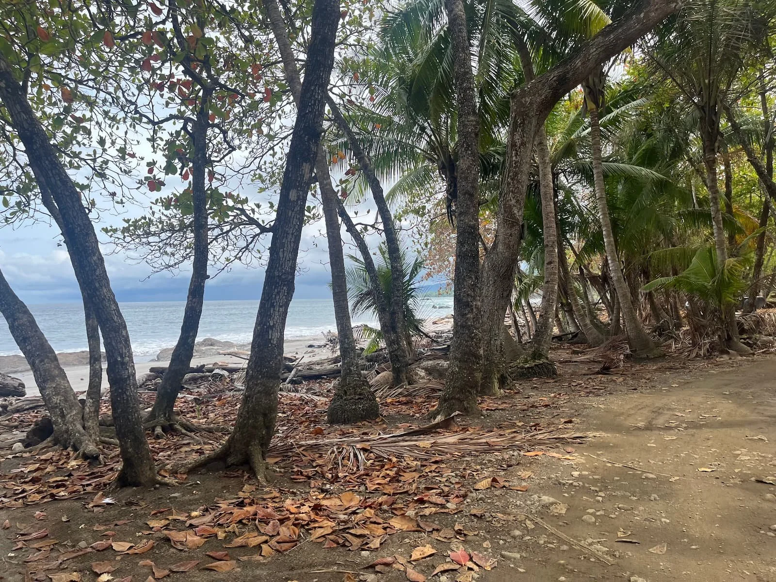 Peaceful vibes and beautiful nature in Montezuma in Costa Rica