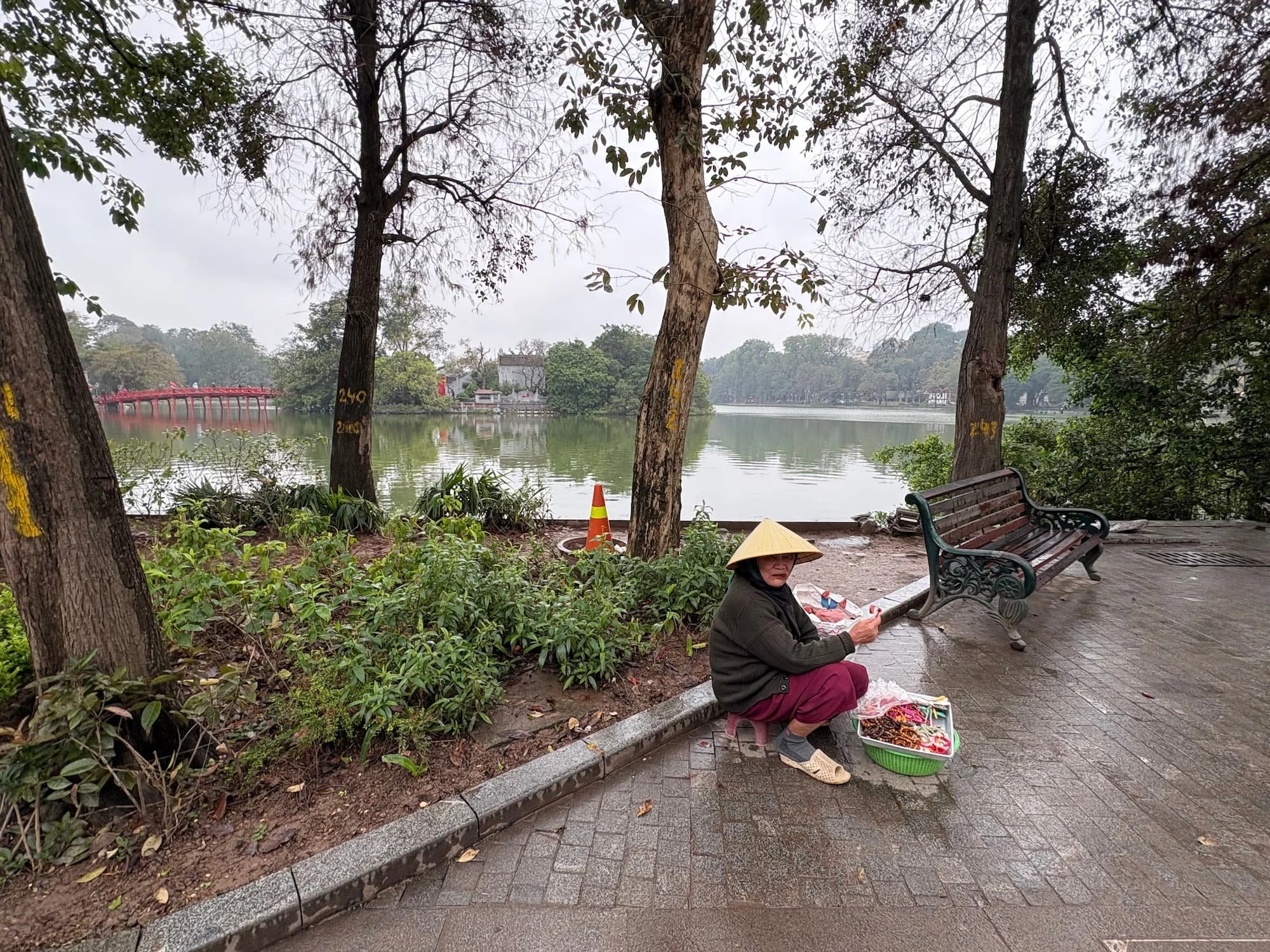 A local Vietnamese lady next to Hoam Kiem Lake in Hanoi