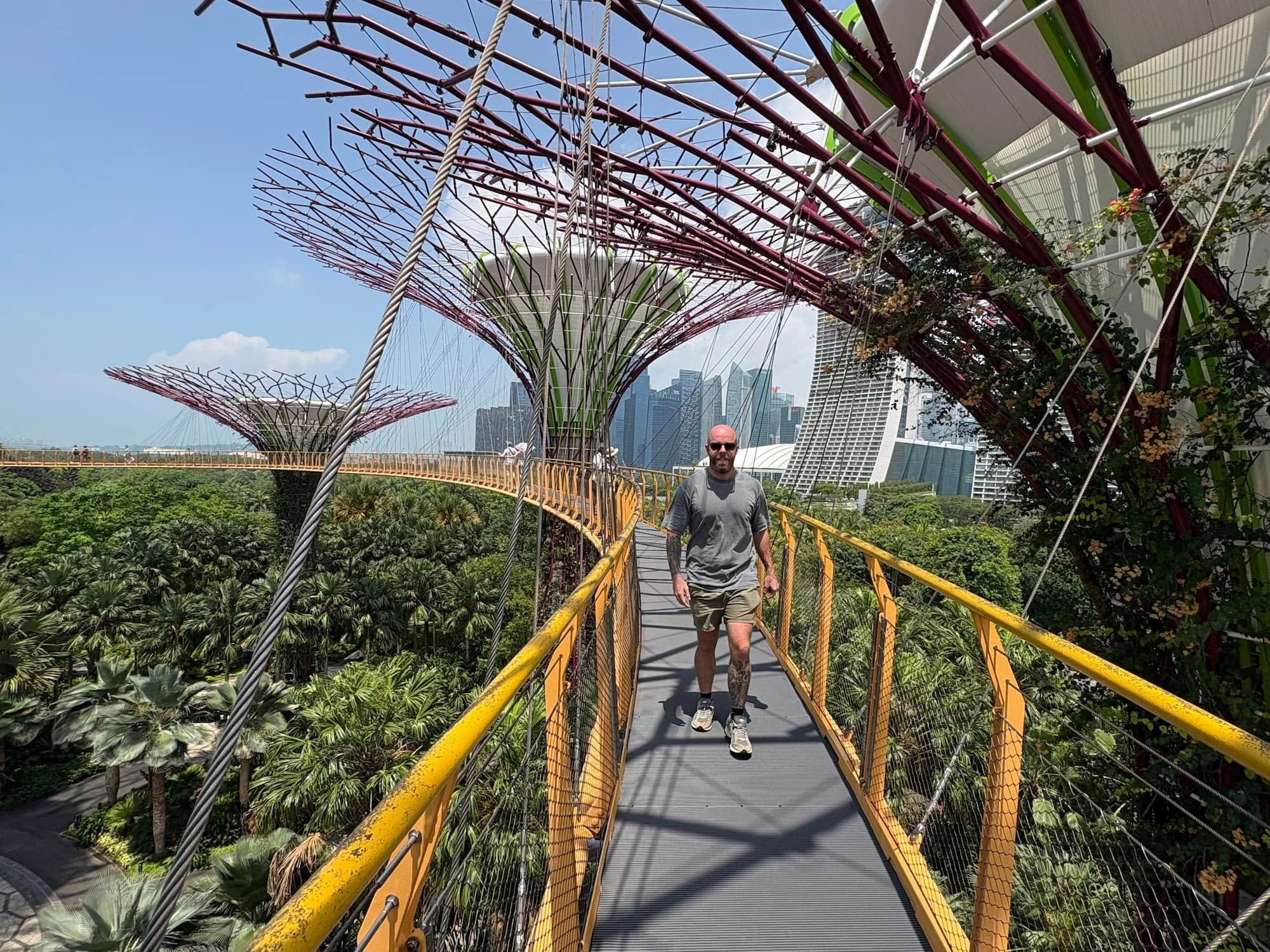 Tom Henty Walking on the Supertree Grove Skyway at Gardens by the Bay Singapore with skyline views