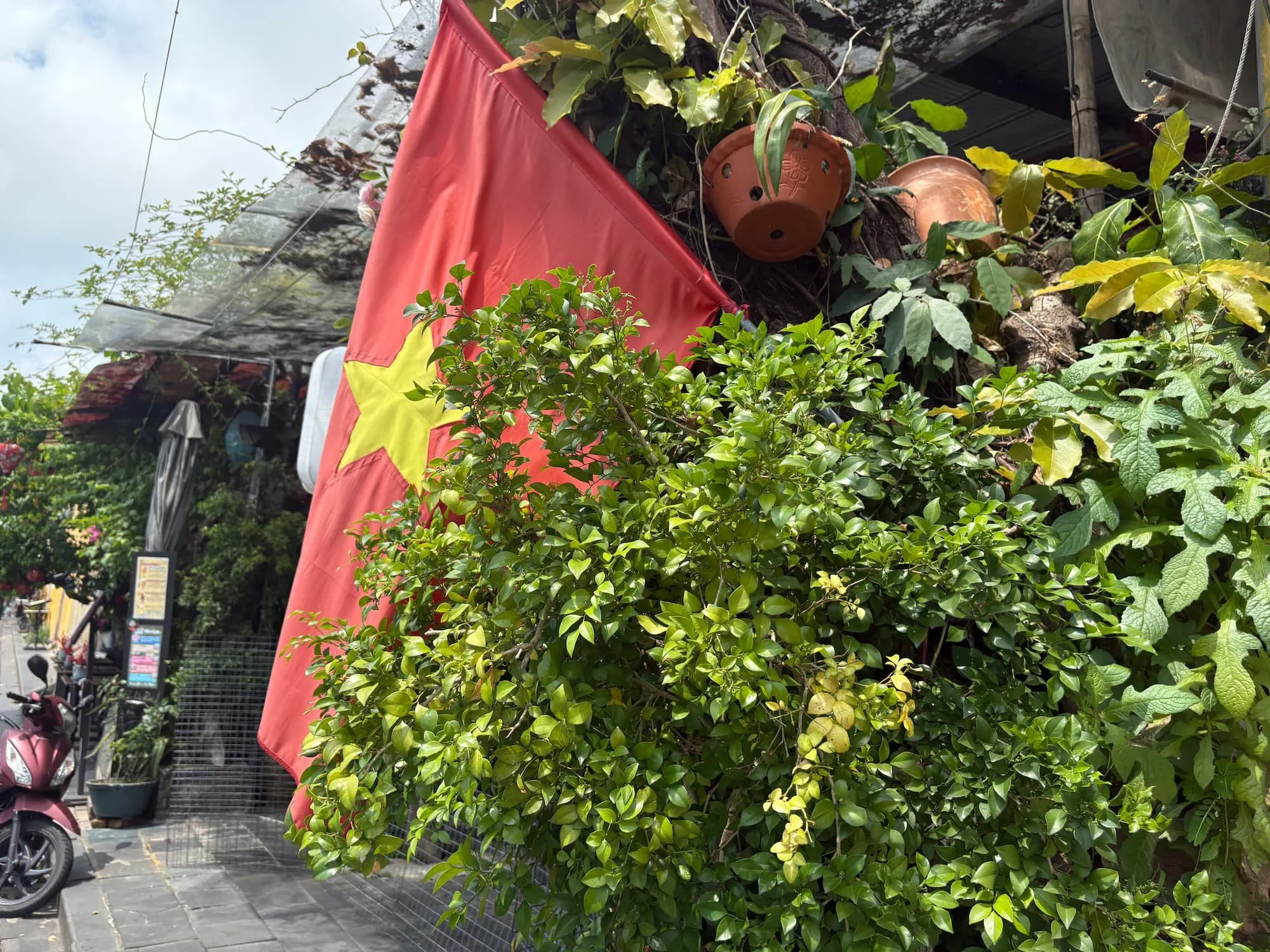 Nature and a Vietnam flag in Hoi An in VIetnam