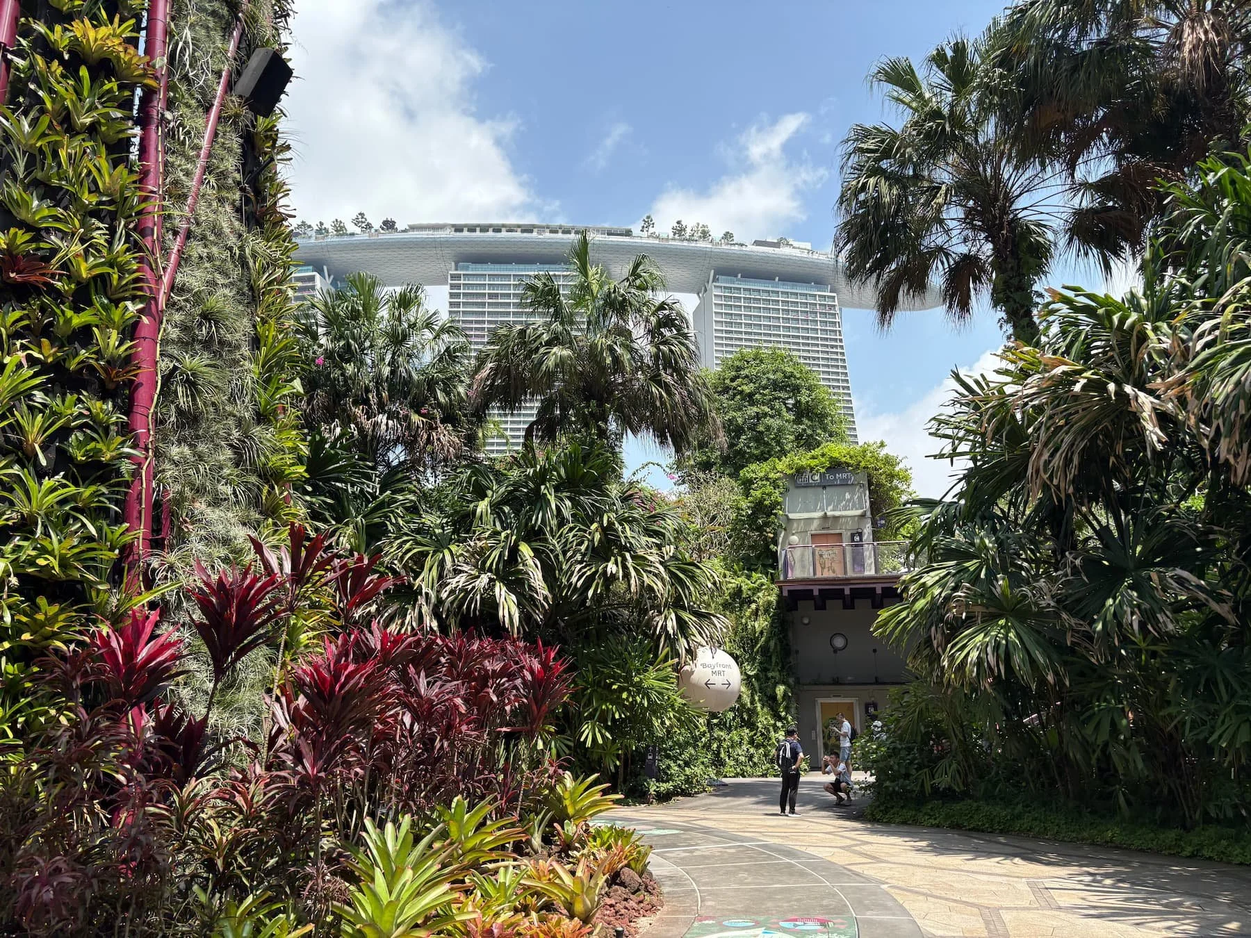 Views of Marina Bay Sands and nature in Singapore