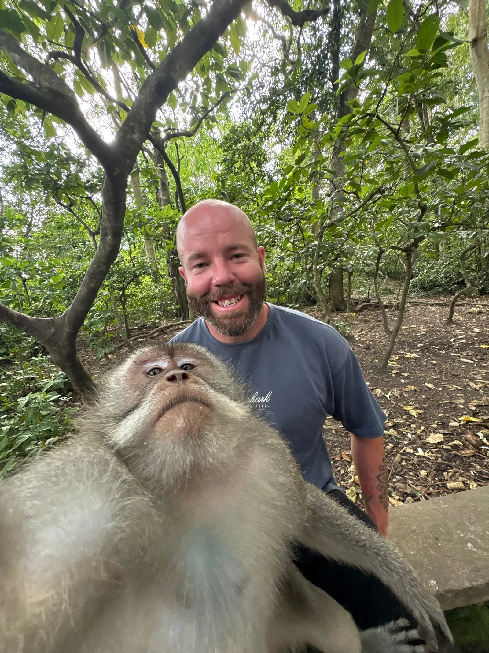 Tom Henty selfie with a monkey at the Sacred Forest in Ubud in Bali