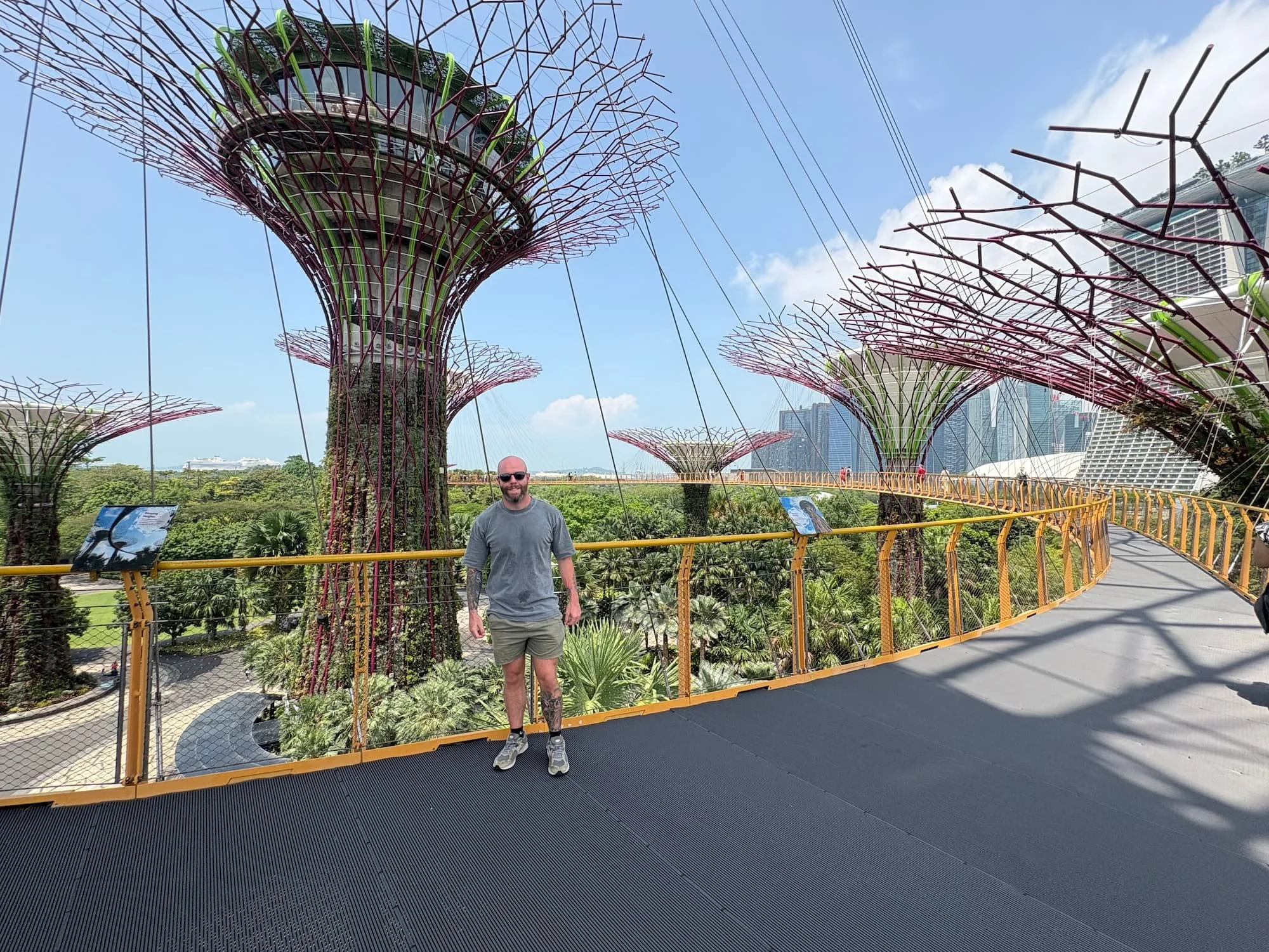 Tom Henty stood on platform at Supertree Grove Singapore