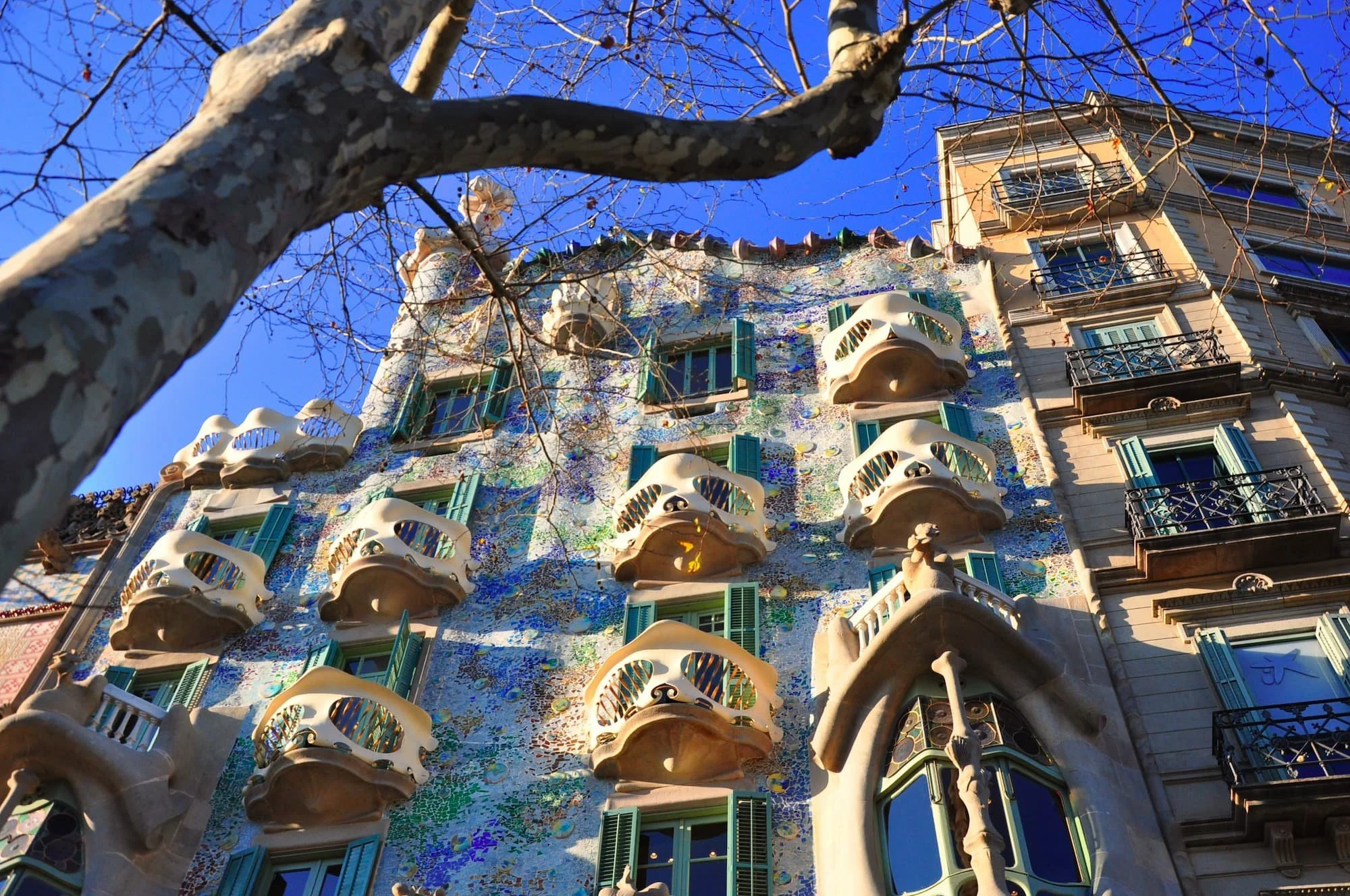 Low-angle view of Casa Batlló’s colourful façade in Barcelona with curved balconies, mosaic details and tree branches overhead.