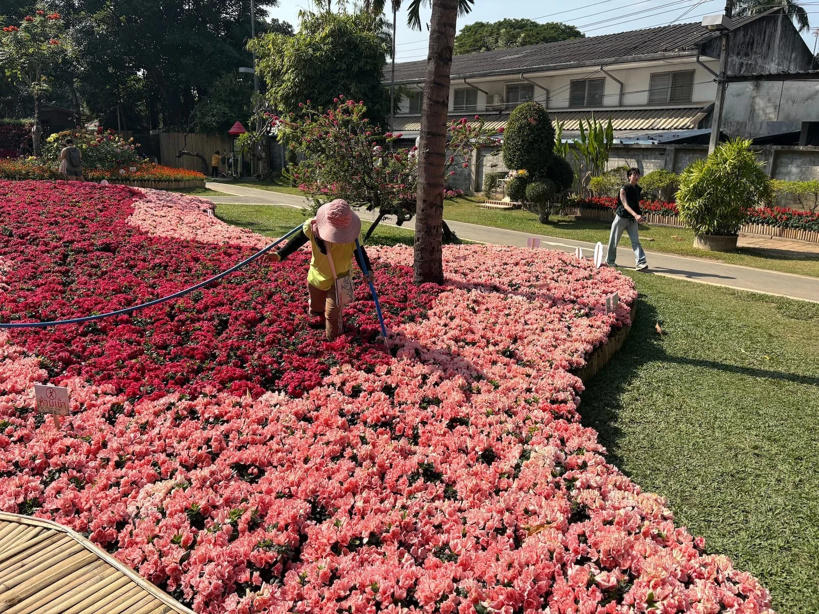 A local worker at Suan Buak Haad public park in Chiang Mai in Thailand