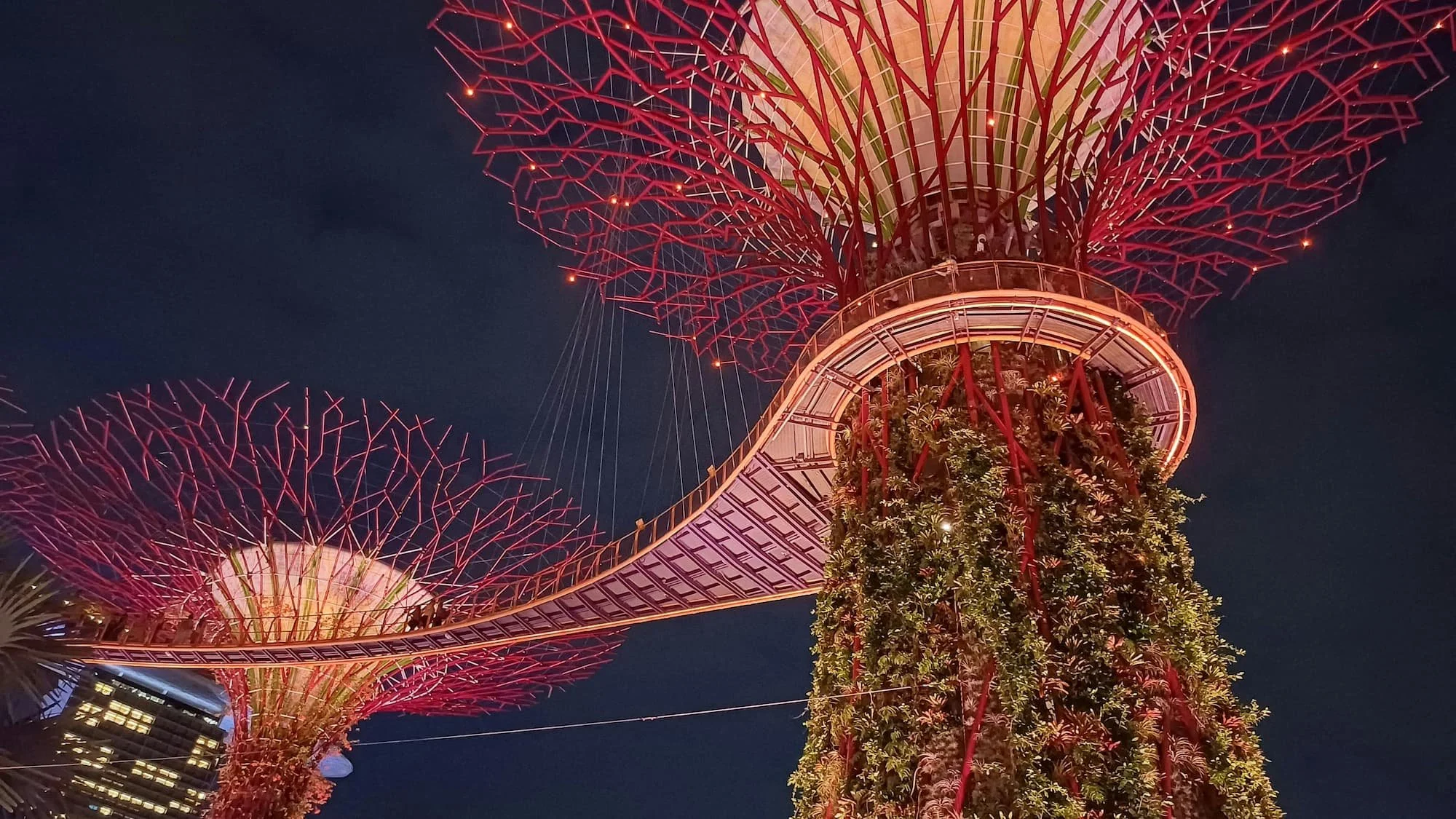 Super Tree Grove lit up at night in Singapore