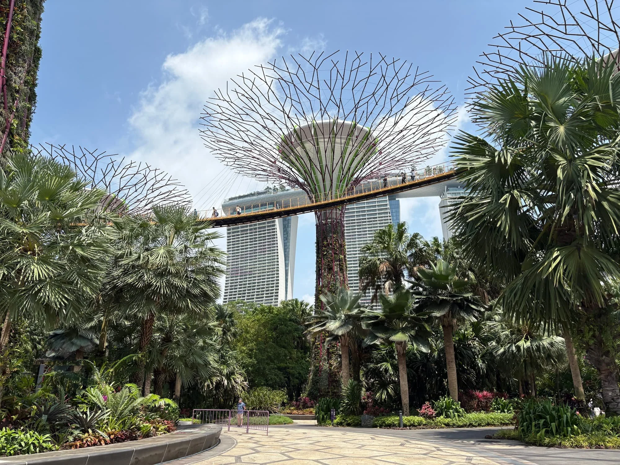 Supertree Grove at Gardens by the Bay Singapore with Marina Bay Sands in the background
