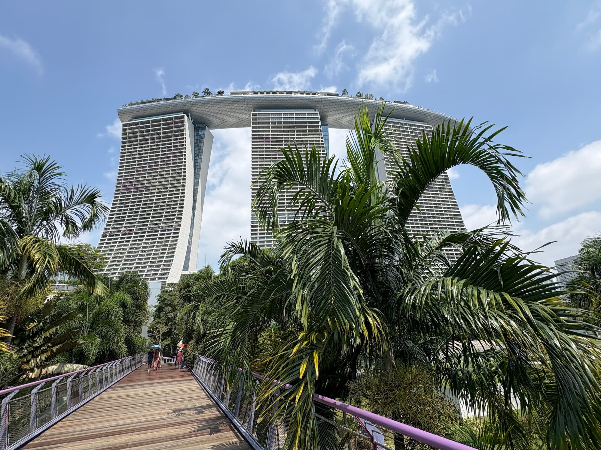 Marina Bay Sands Hotel framed by beautiful nature