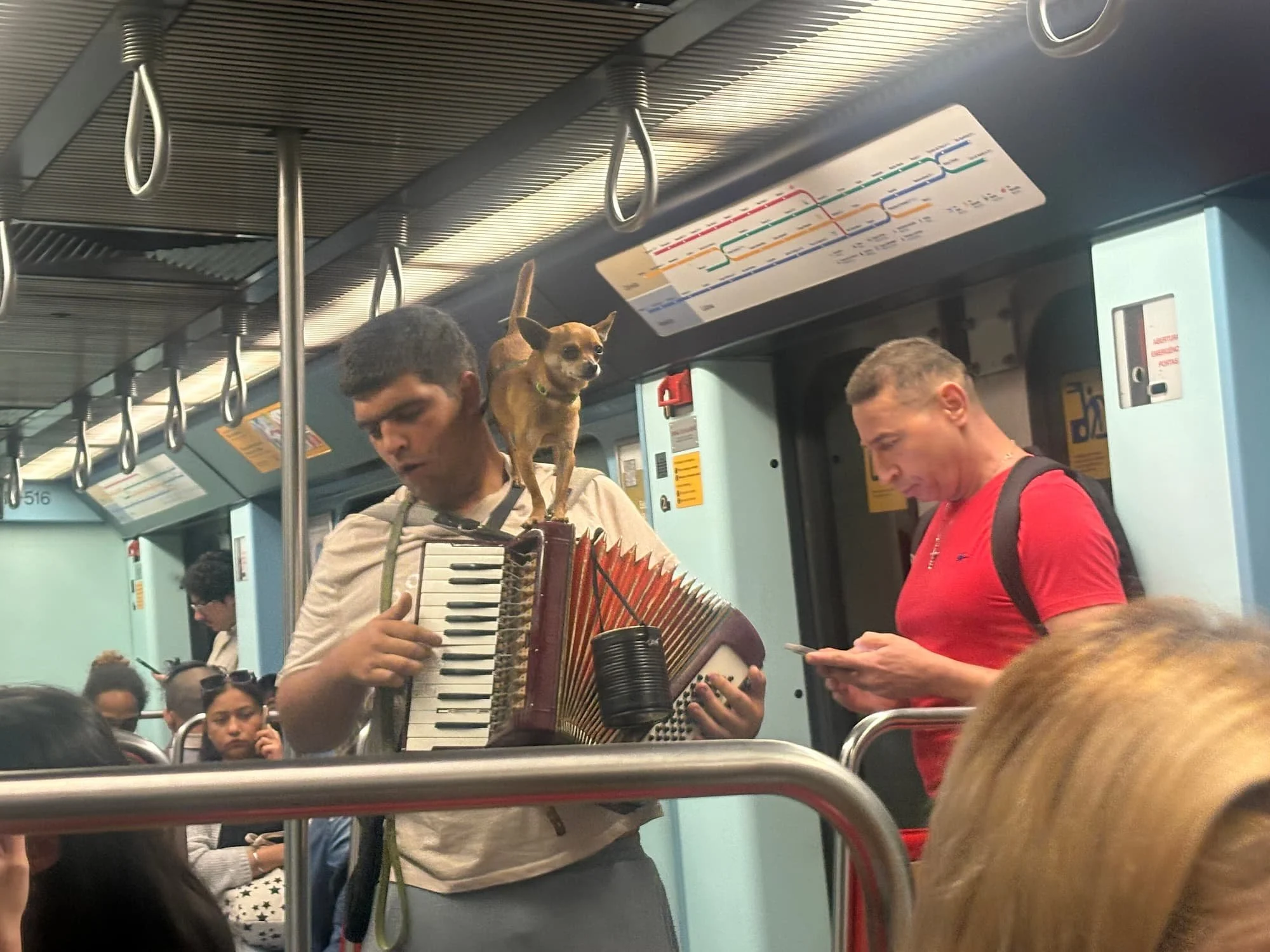 Musician playing an accordion with a small dog standing on top while travelling on the Lisbon Metro in Portugal.